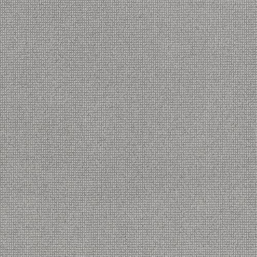 Alluring in Titanium
