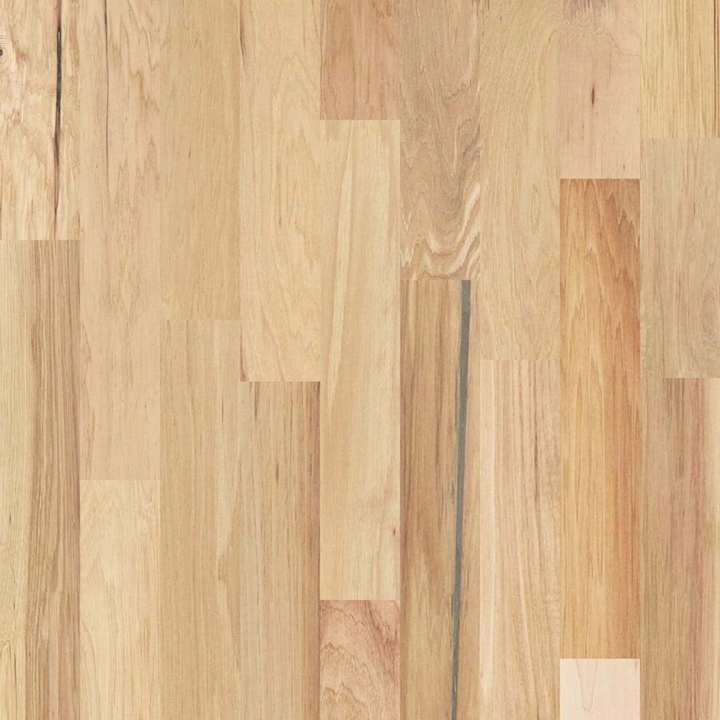 BERNINA HICKORY in Scalino Hardwood
