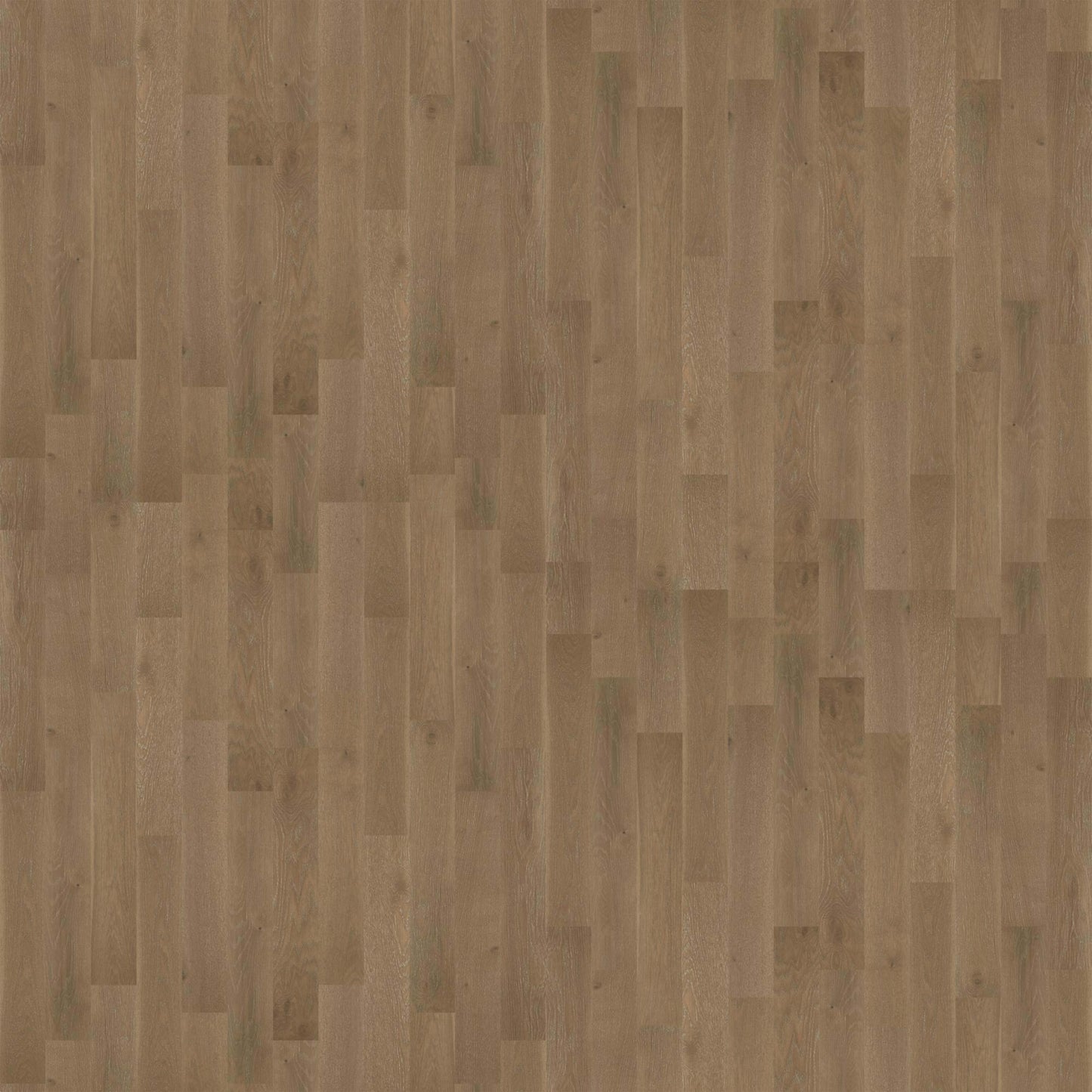 NOBLE HALL in Majesty Hardwood