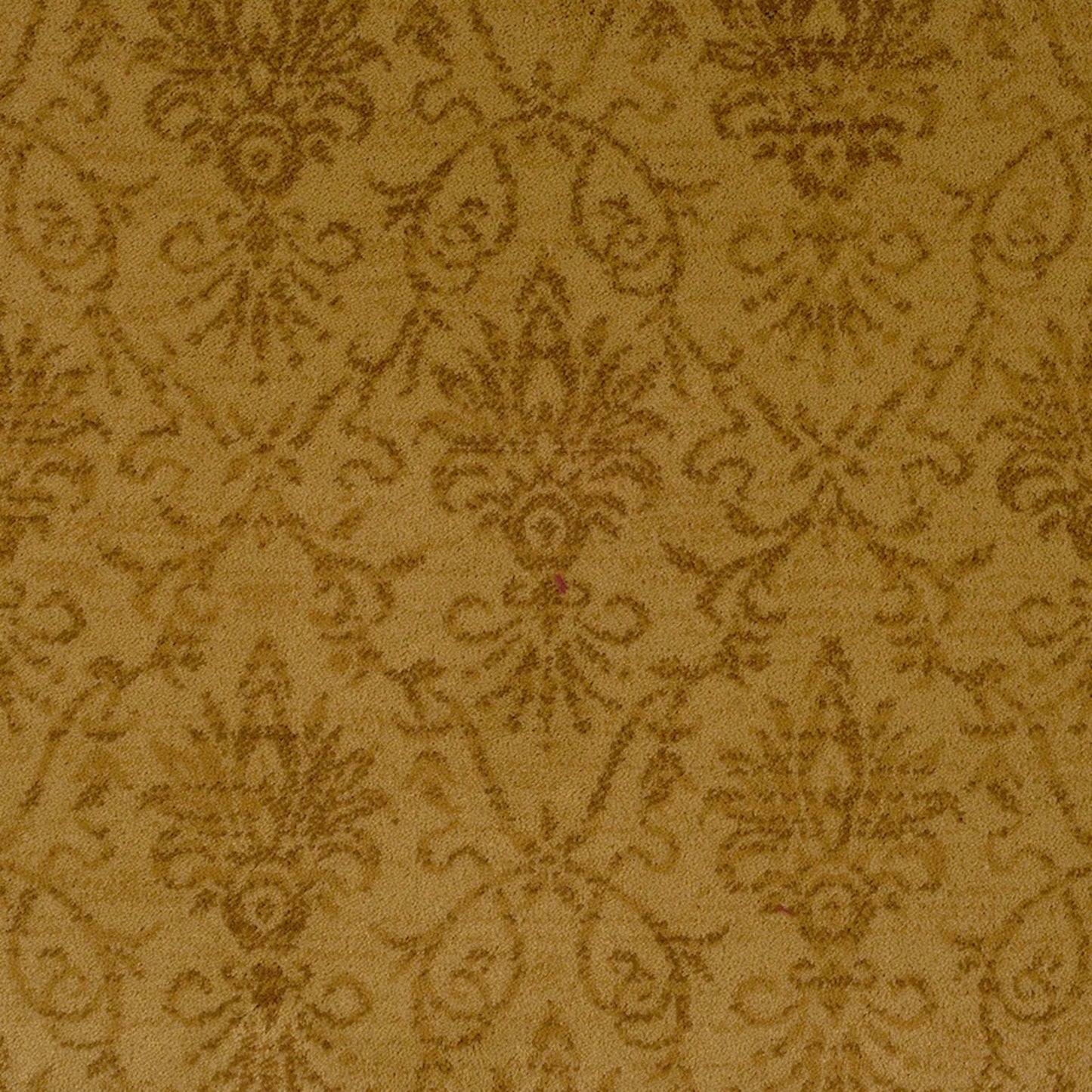 Alexander