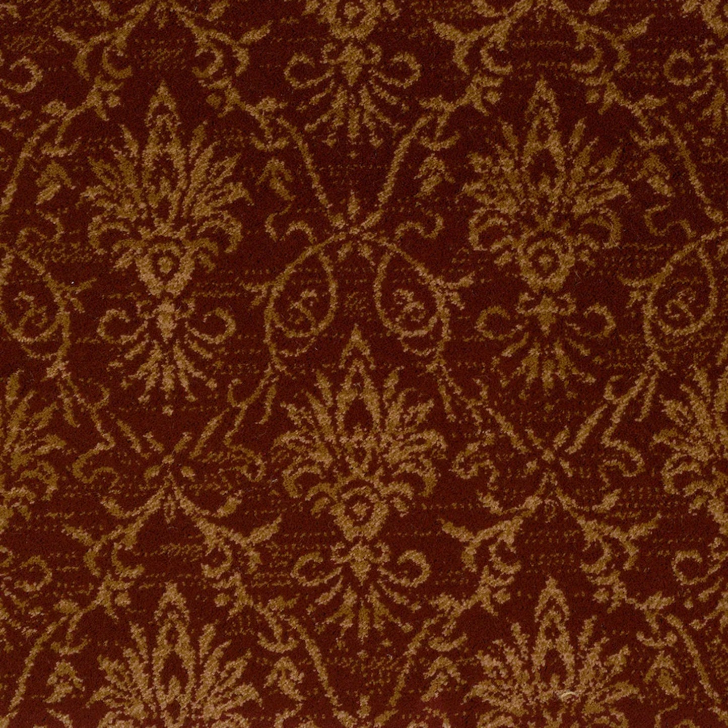 Alexander in Wine Carpet