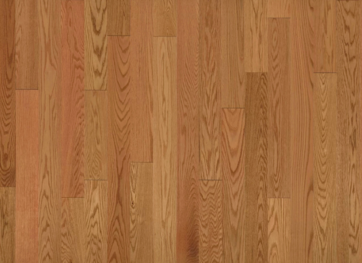 American Traditional Classics in Auburn Red Oak 5"