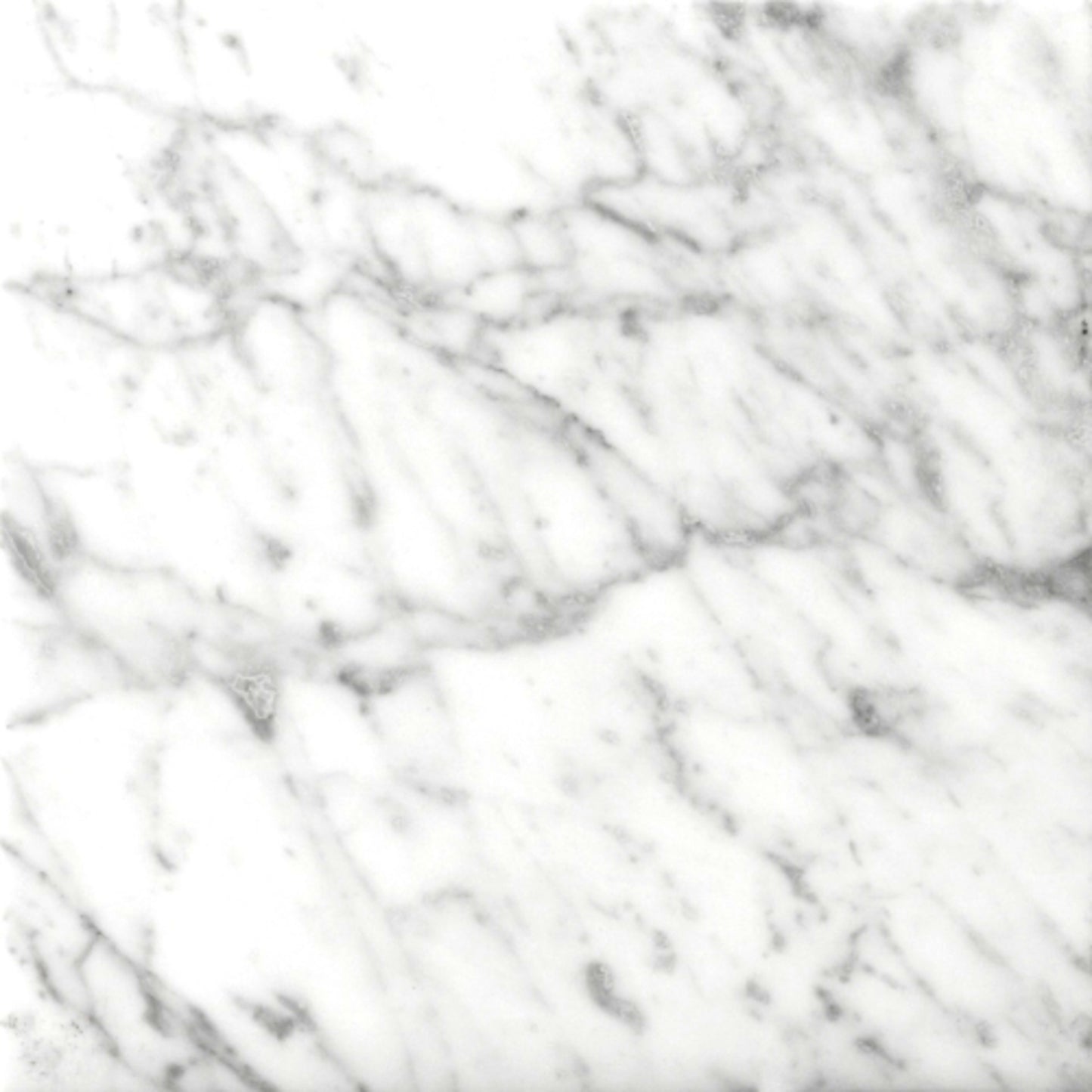 Marble Bianco Gioia Collection in 12" X 24" Honed Natural Stone