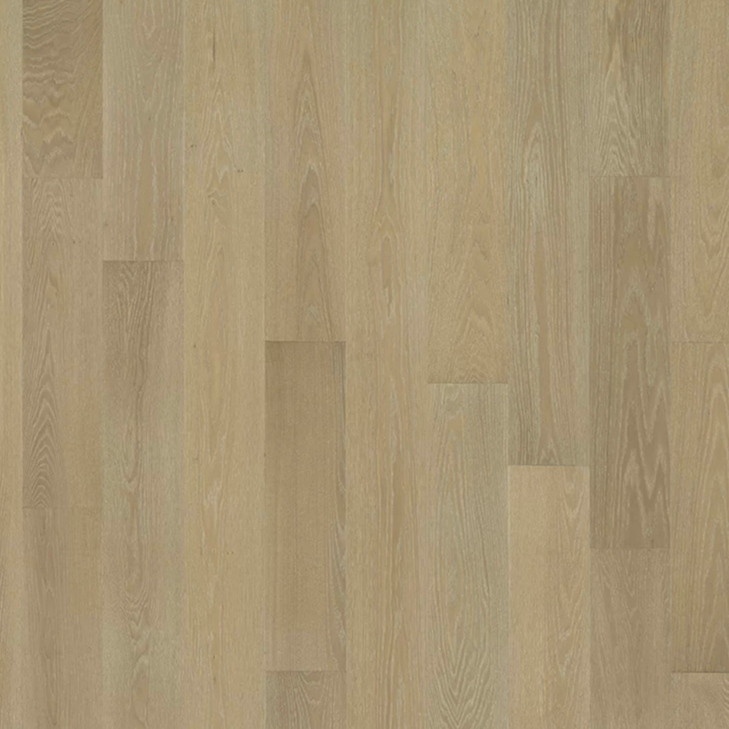 Serenity in Bliss Oak Hardwood