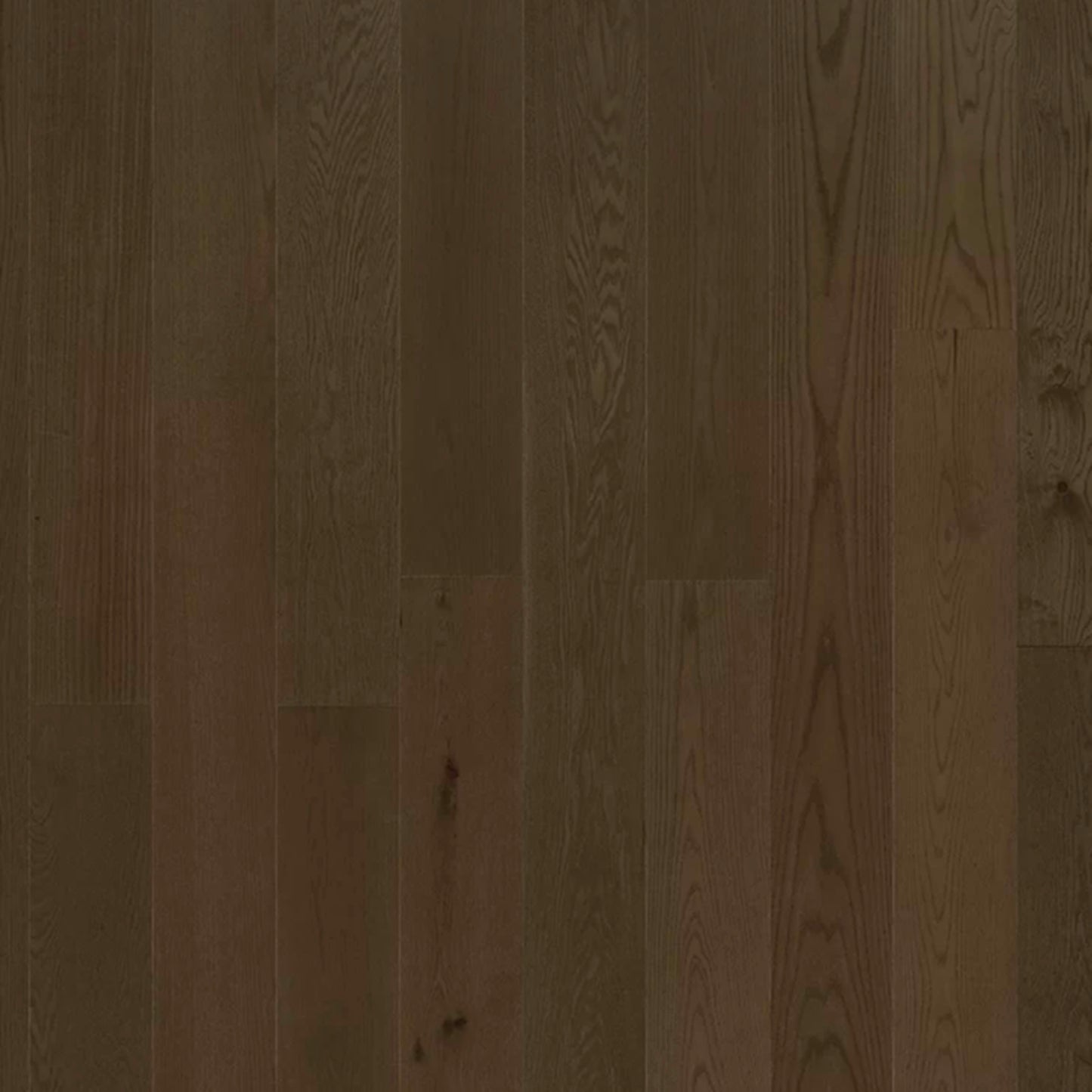 Serenity in Calm Oak Hardwood