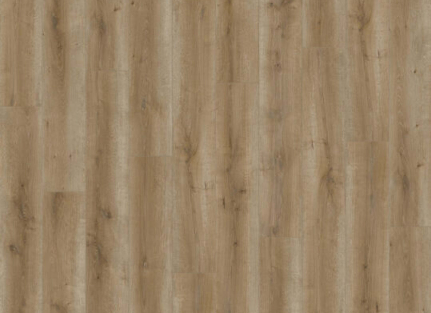 Ceramin - Sono Eclipse in Canim