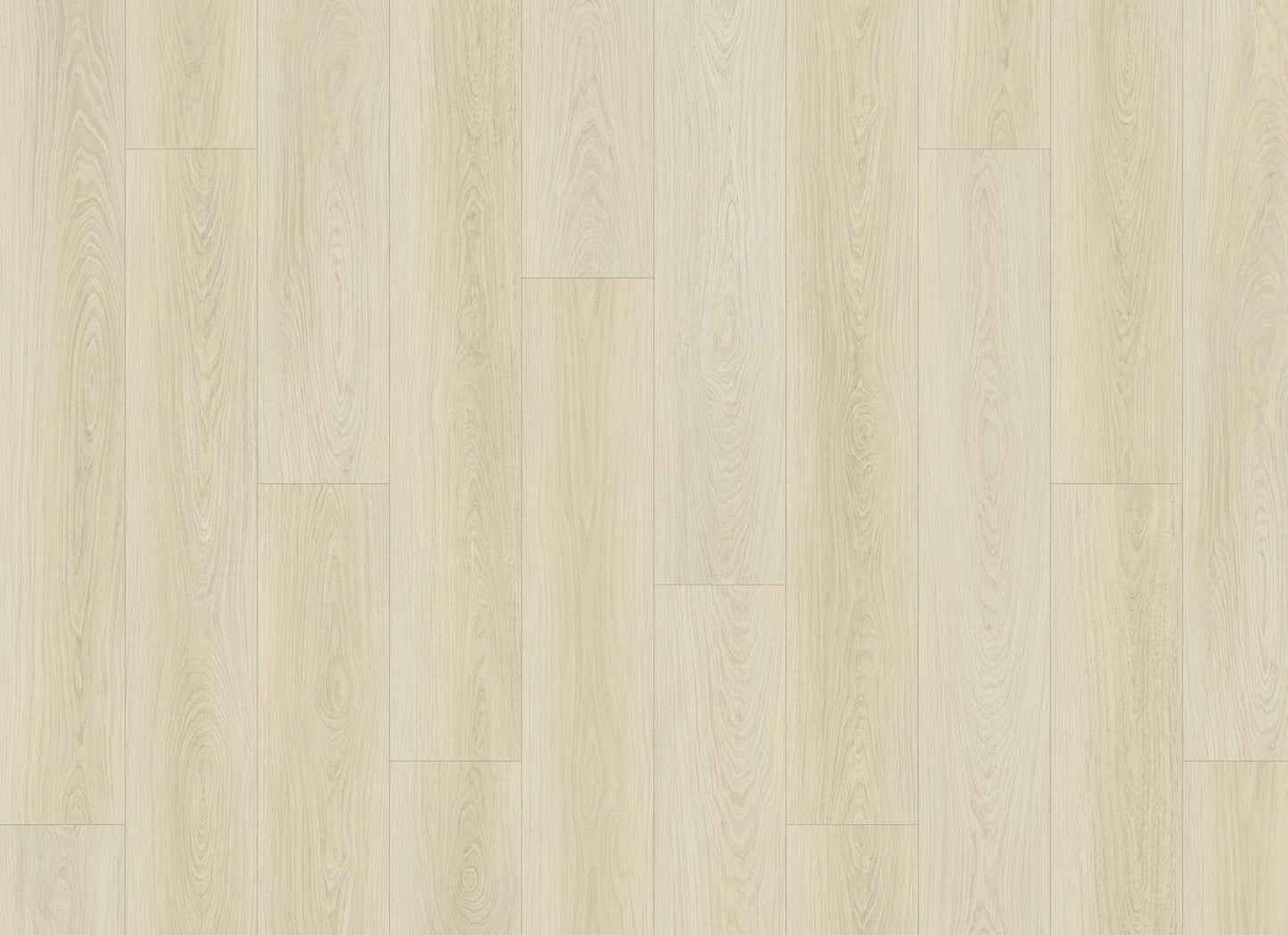 Courtier in Canterbury Oak