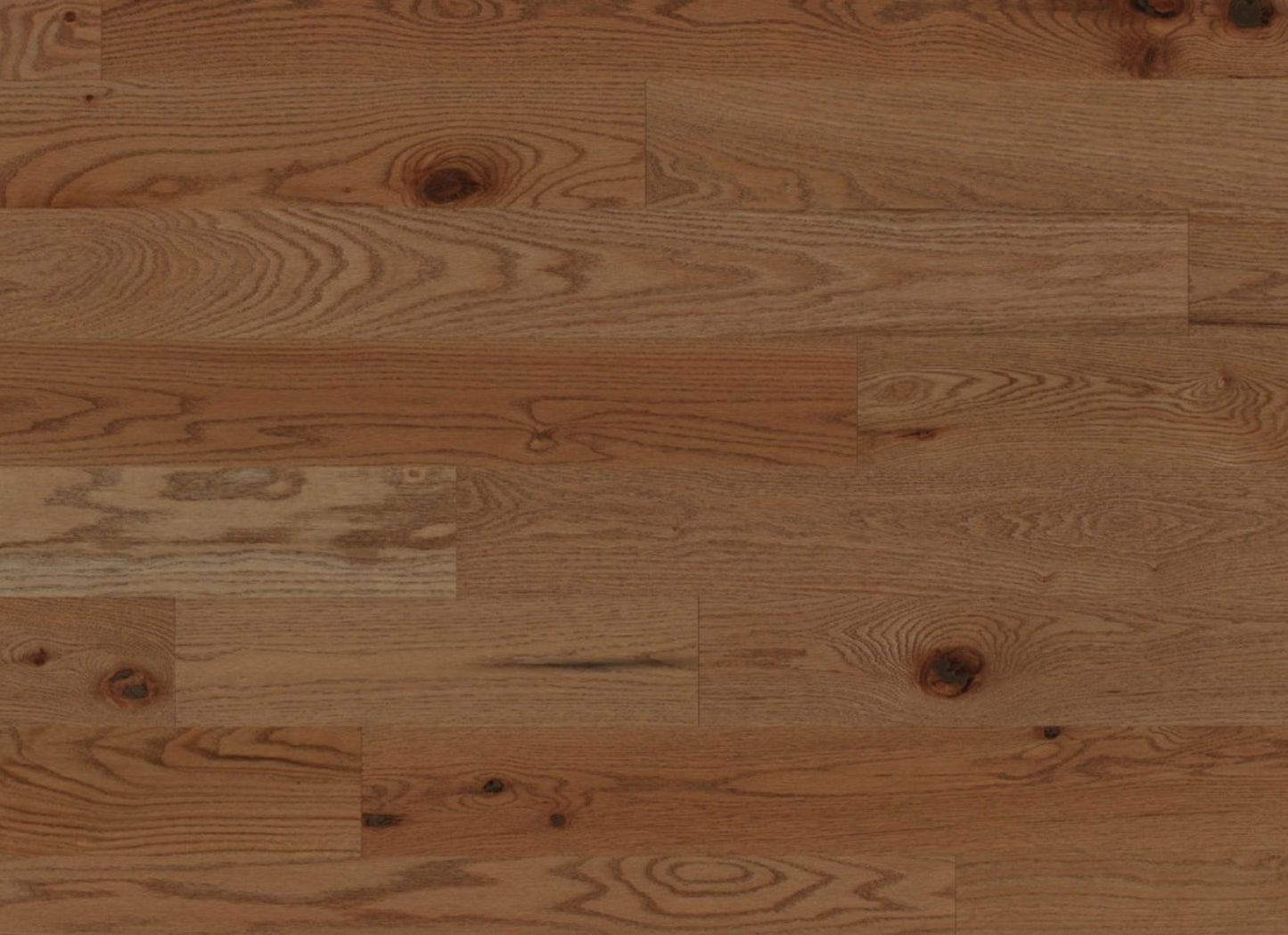 Escape Engineered - Red Oak in Carmel - 3"
