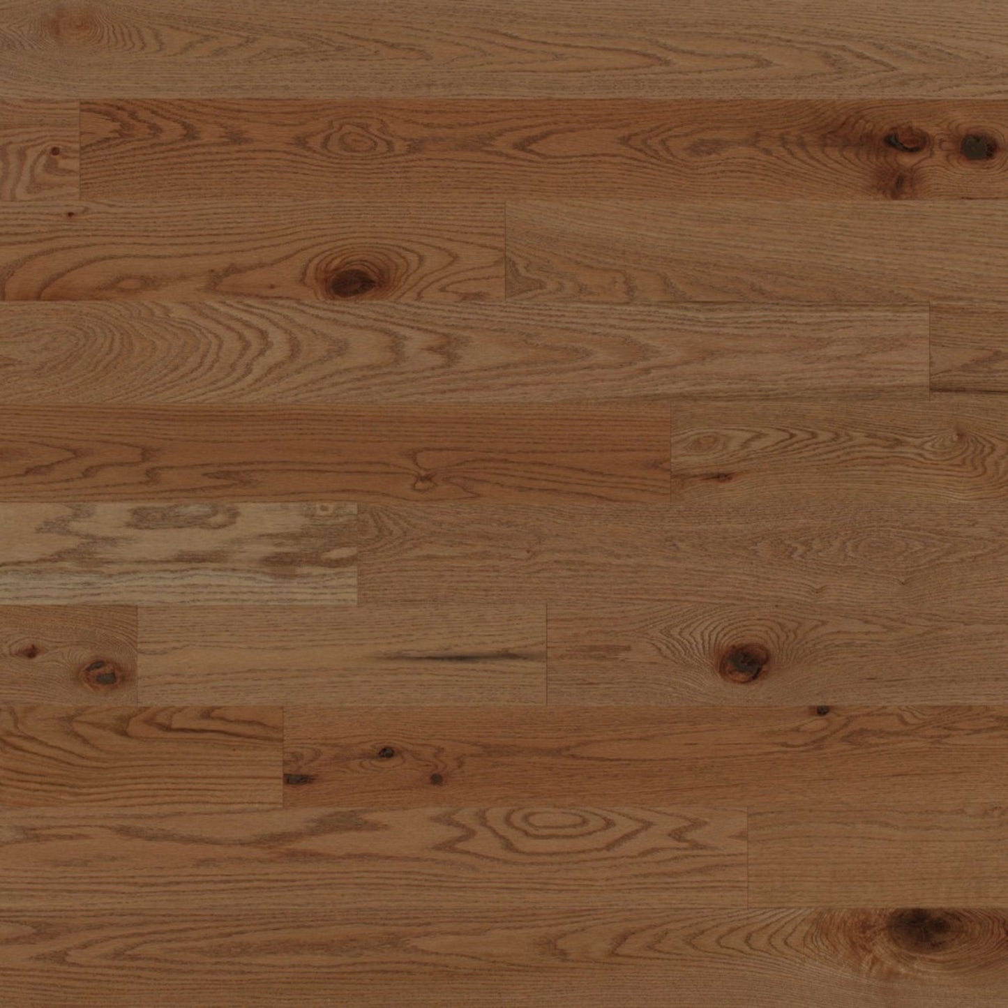 Escape Engineered - Red Oak in Carmel - 4" Hardwood