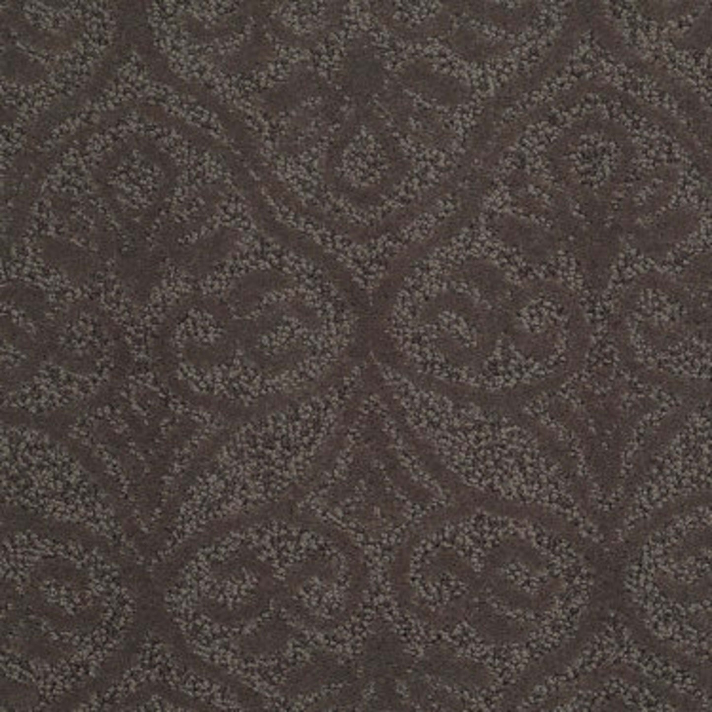Modern Amenities in Spring-Wood Carpet