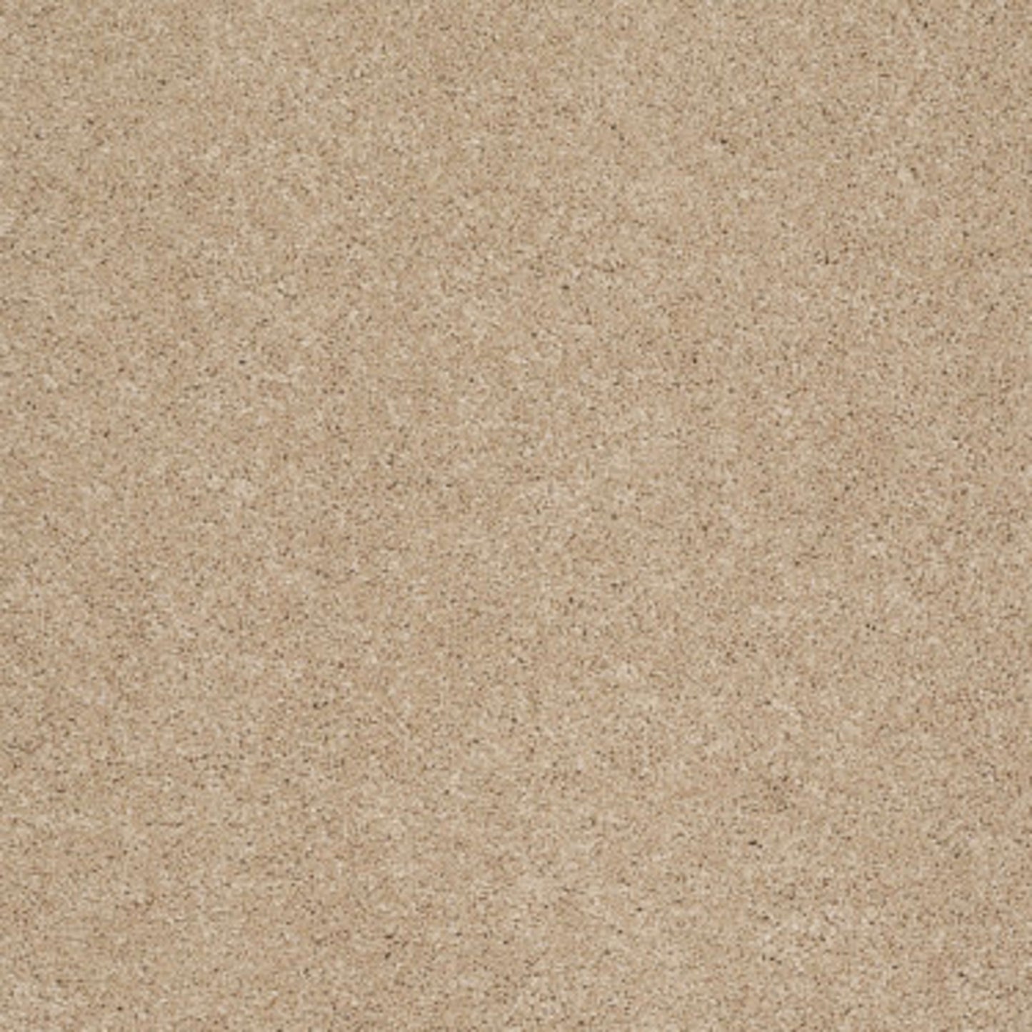 Cashmere II