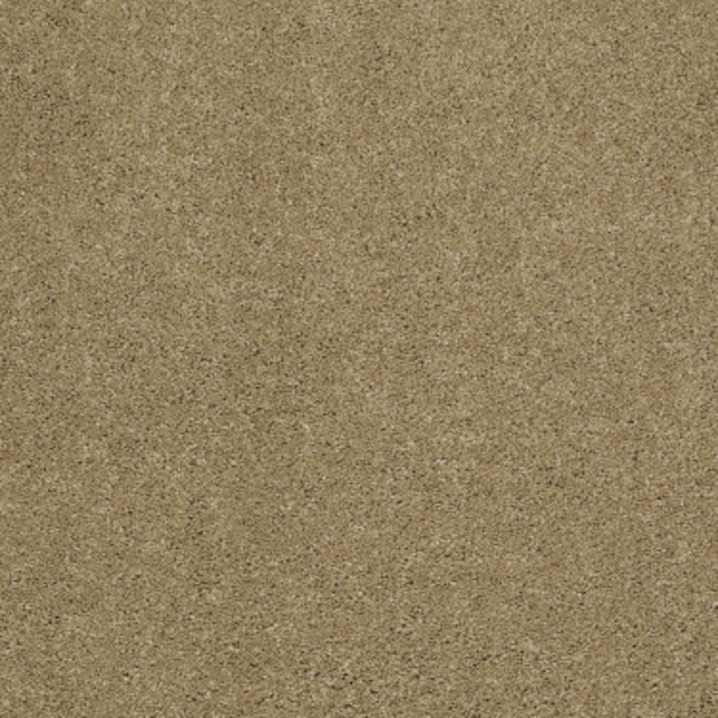 Cashmere II