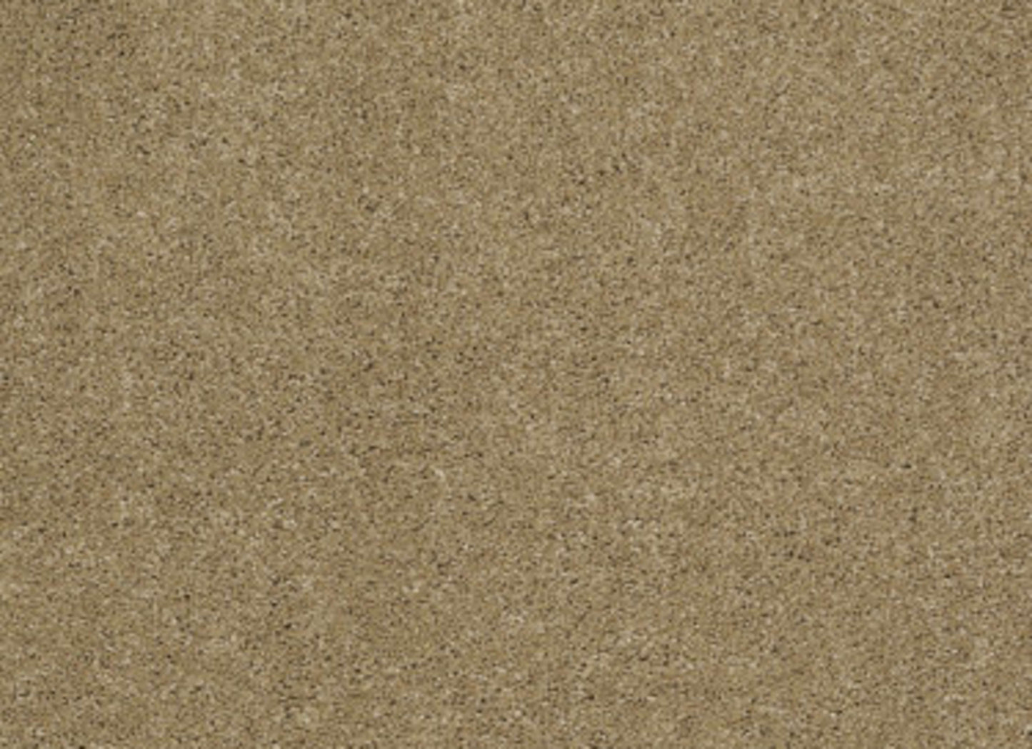 Cashmere II