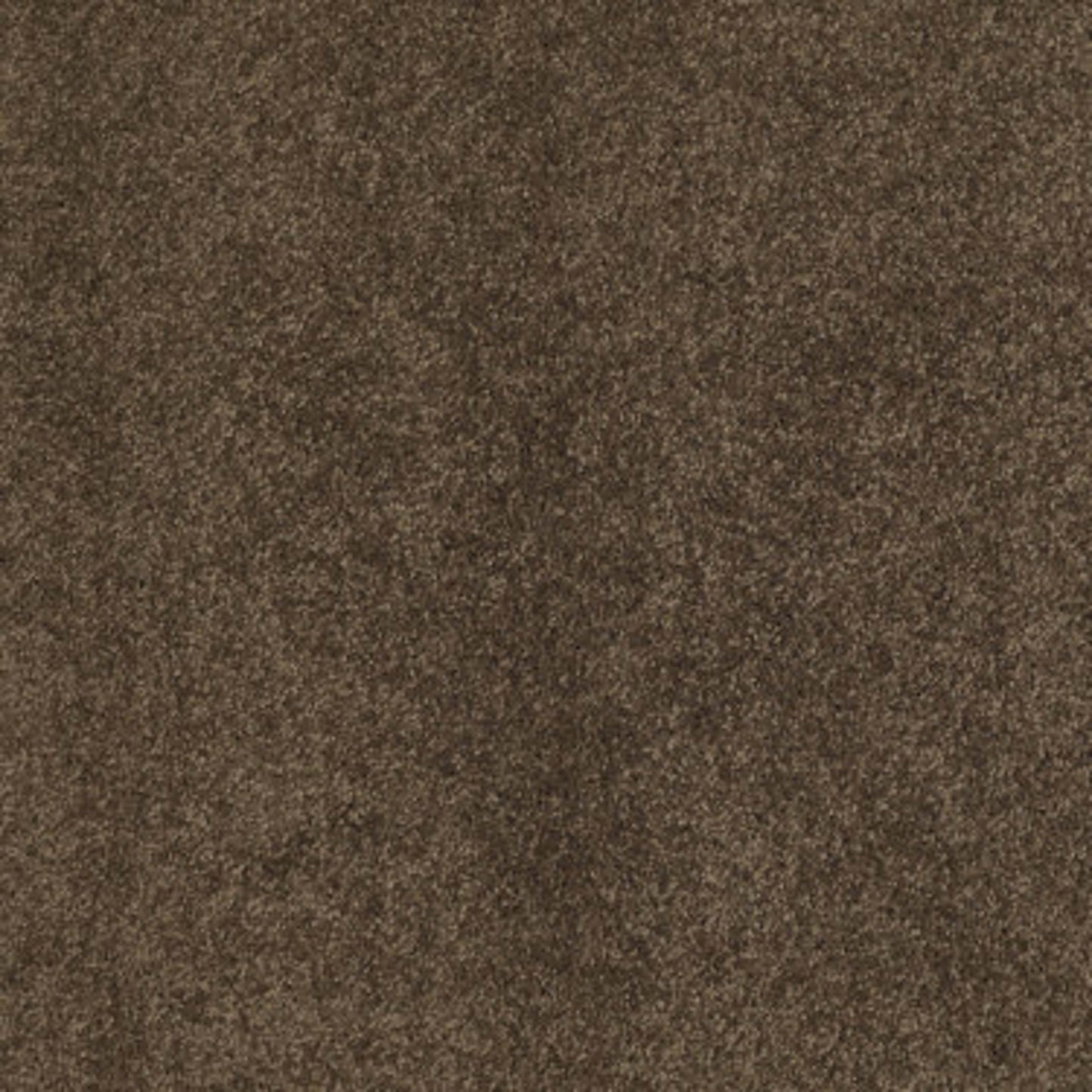 Cashmere II