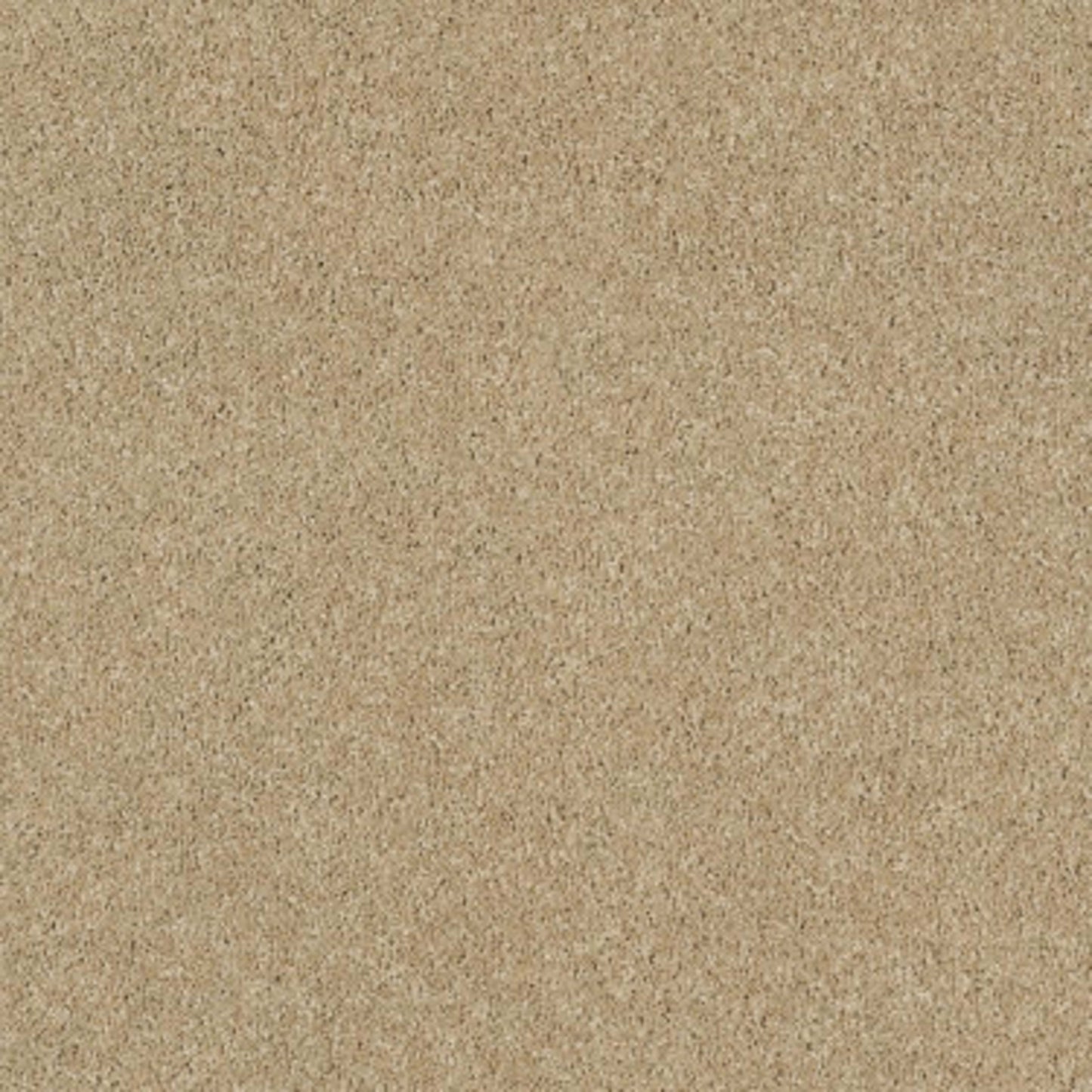 CASHMERE CLASSIC I