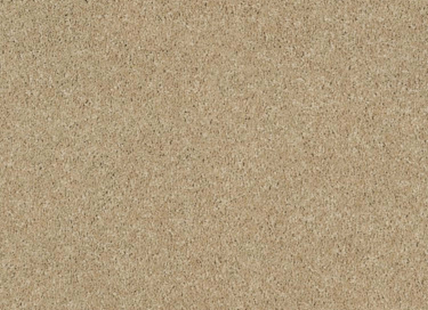 CASHMERE CLASSIC I