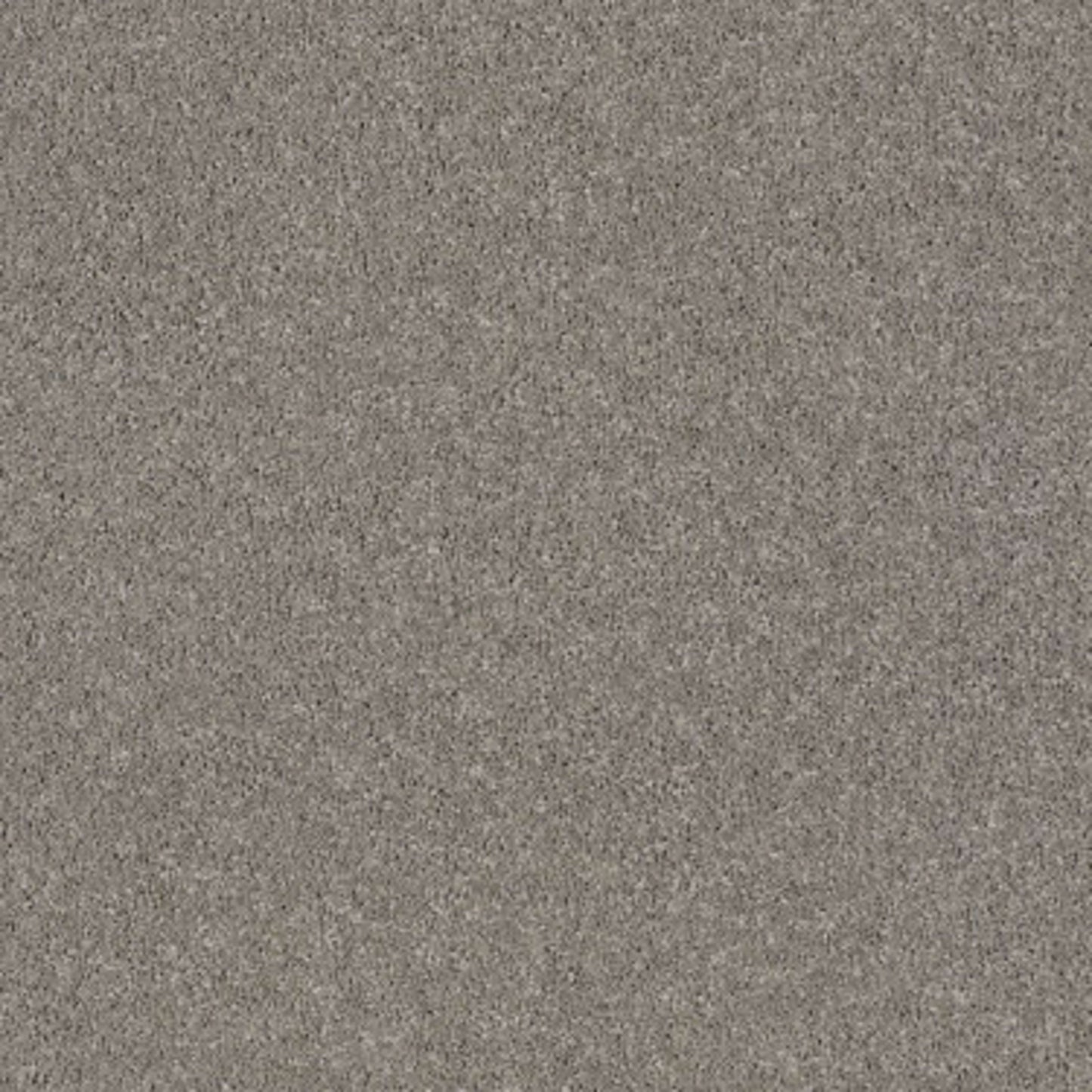 CASHMERE CLASSIC I