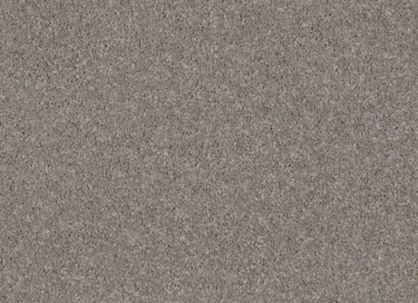 CASHMERE CLASSIC I