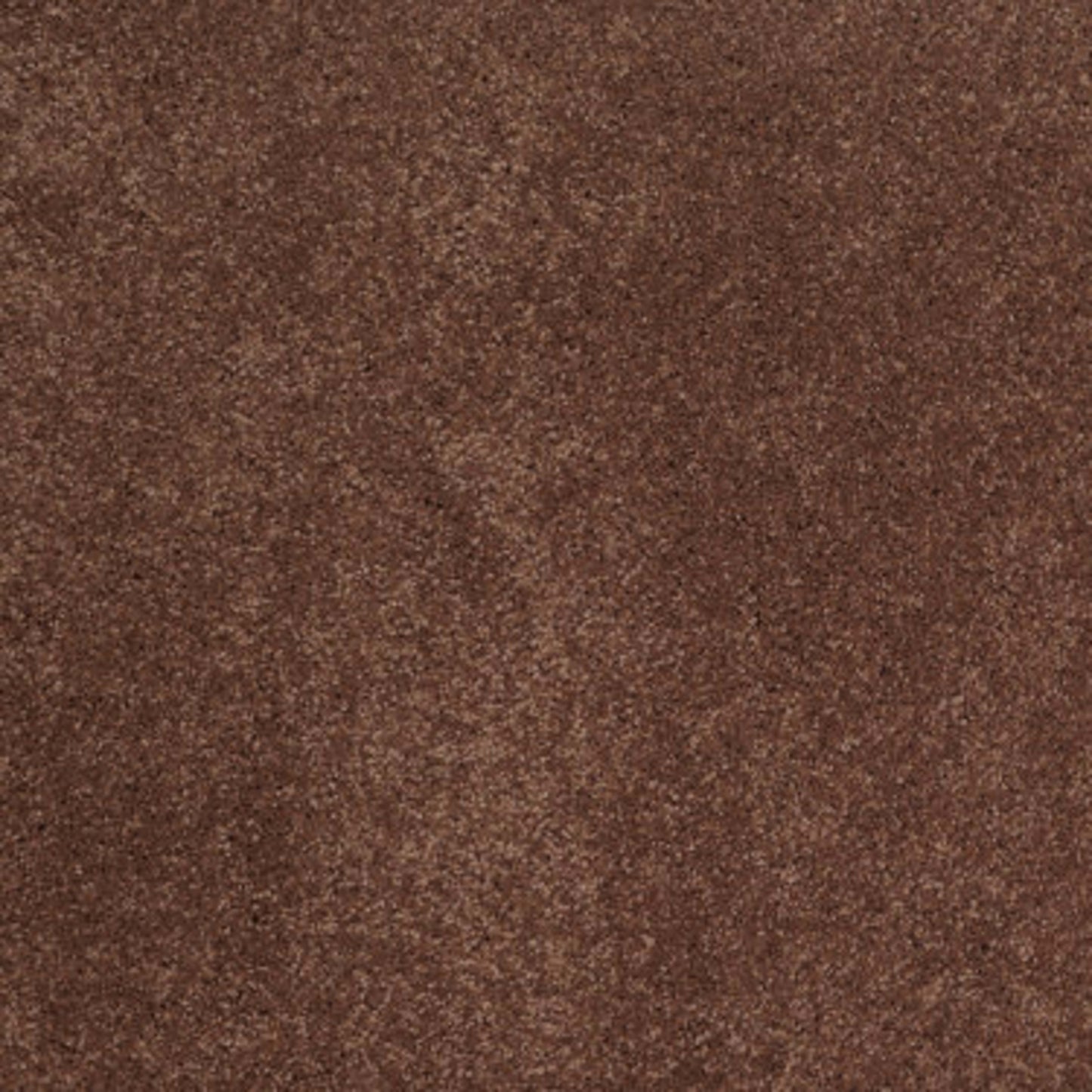 CASHMERE CLASSIC I