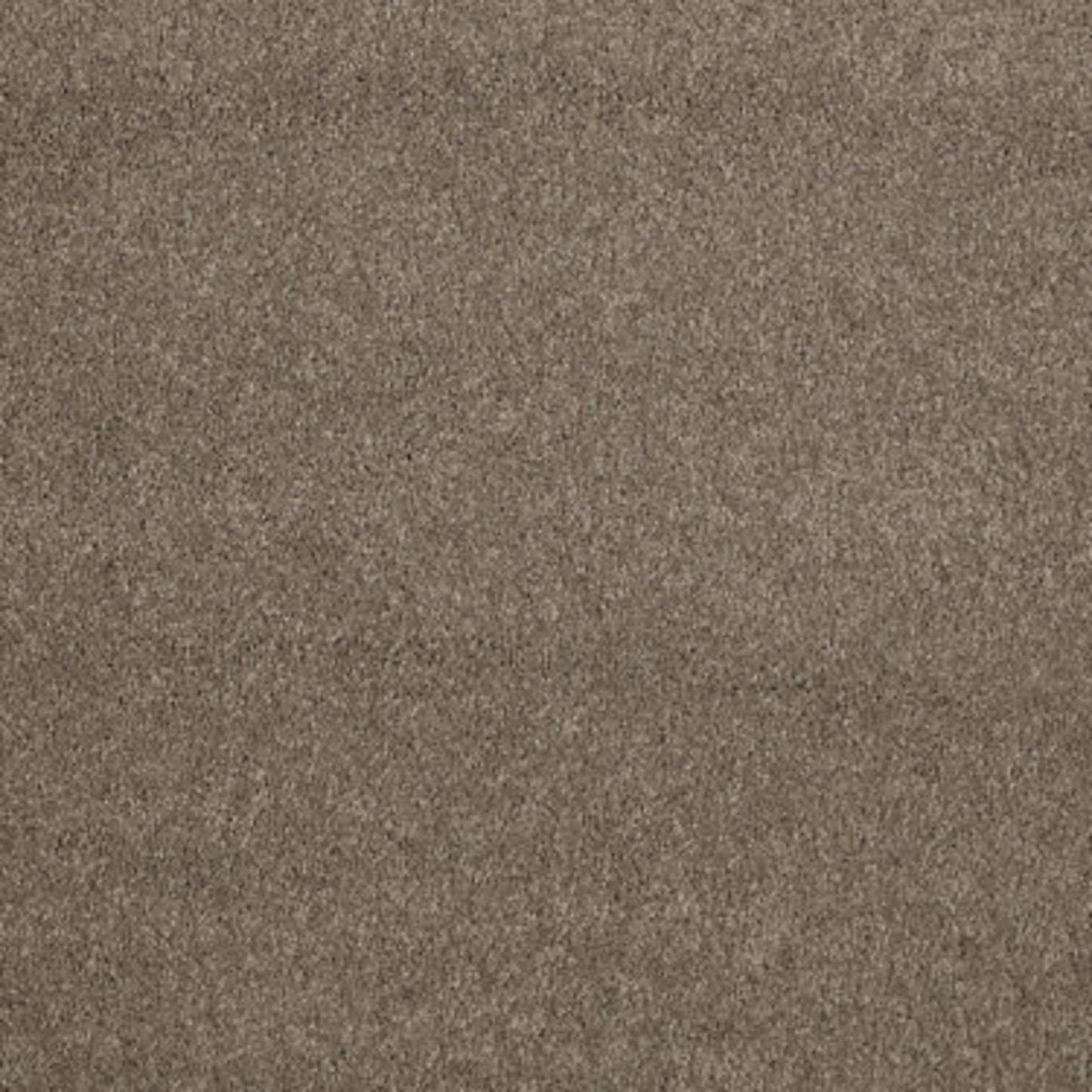 CASHMERE CLASSIC I