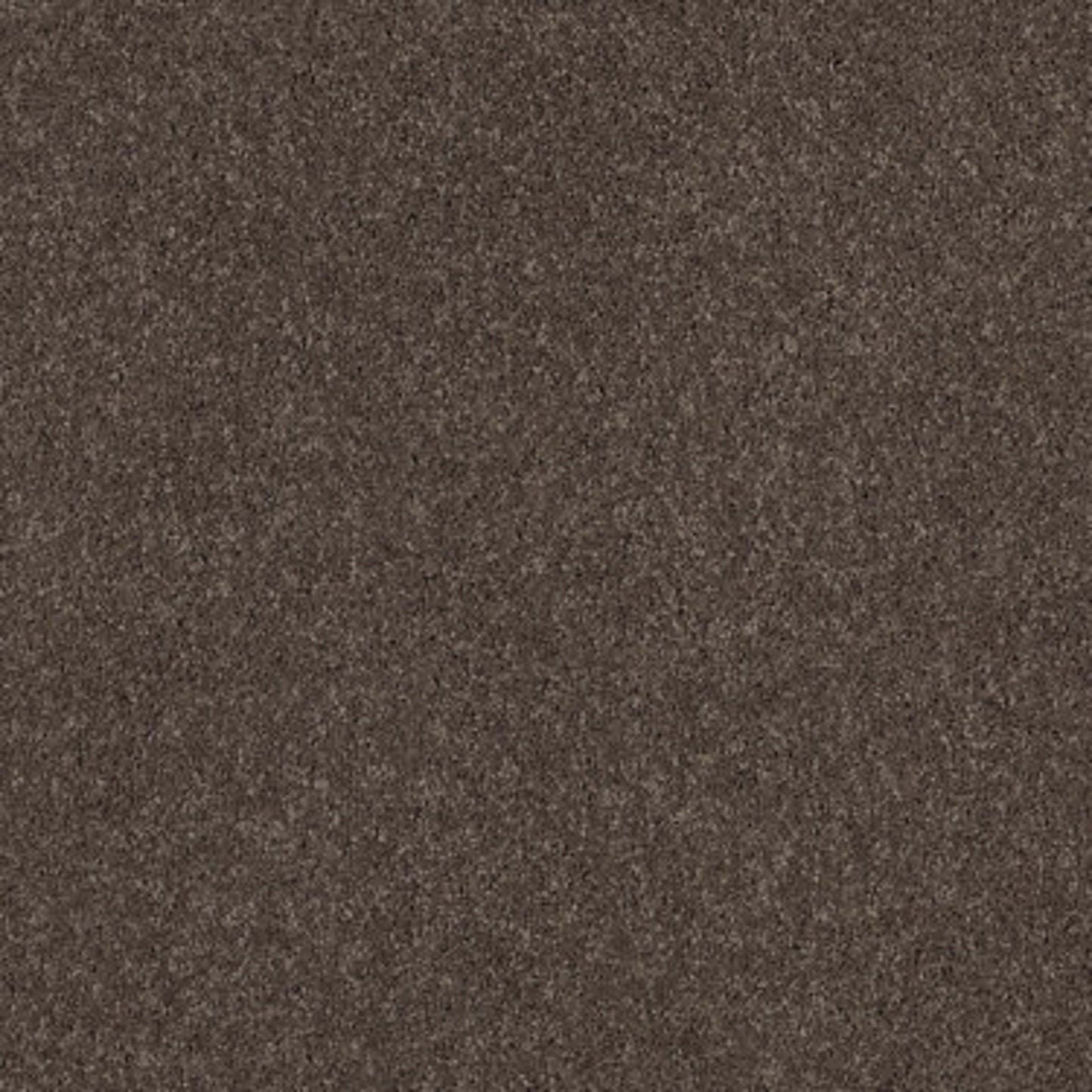 CASHMERE CLASSIC I