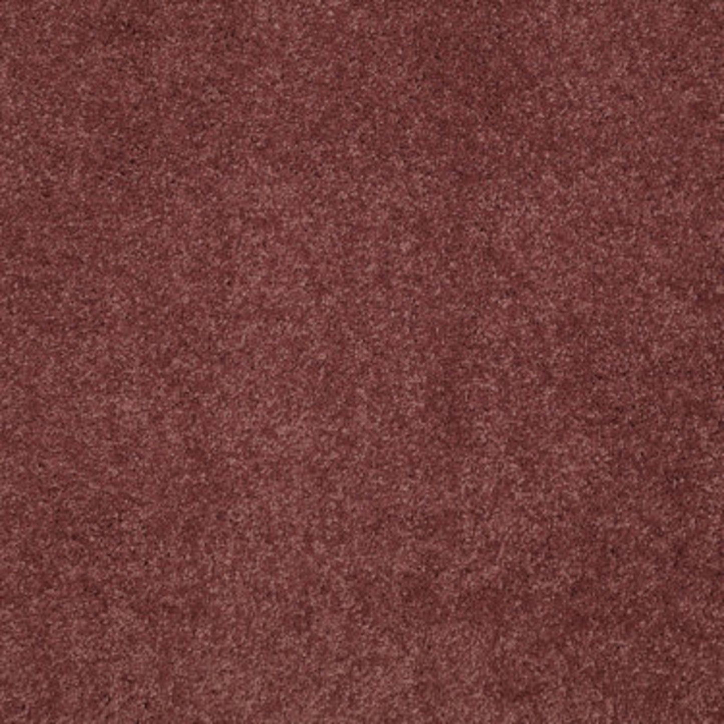 CASHMERE CLASSIC I