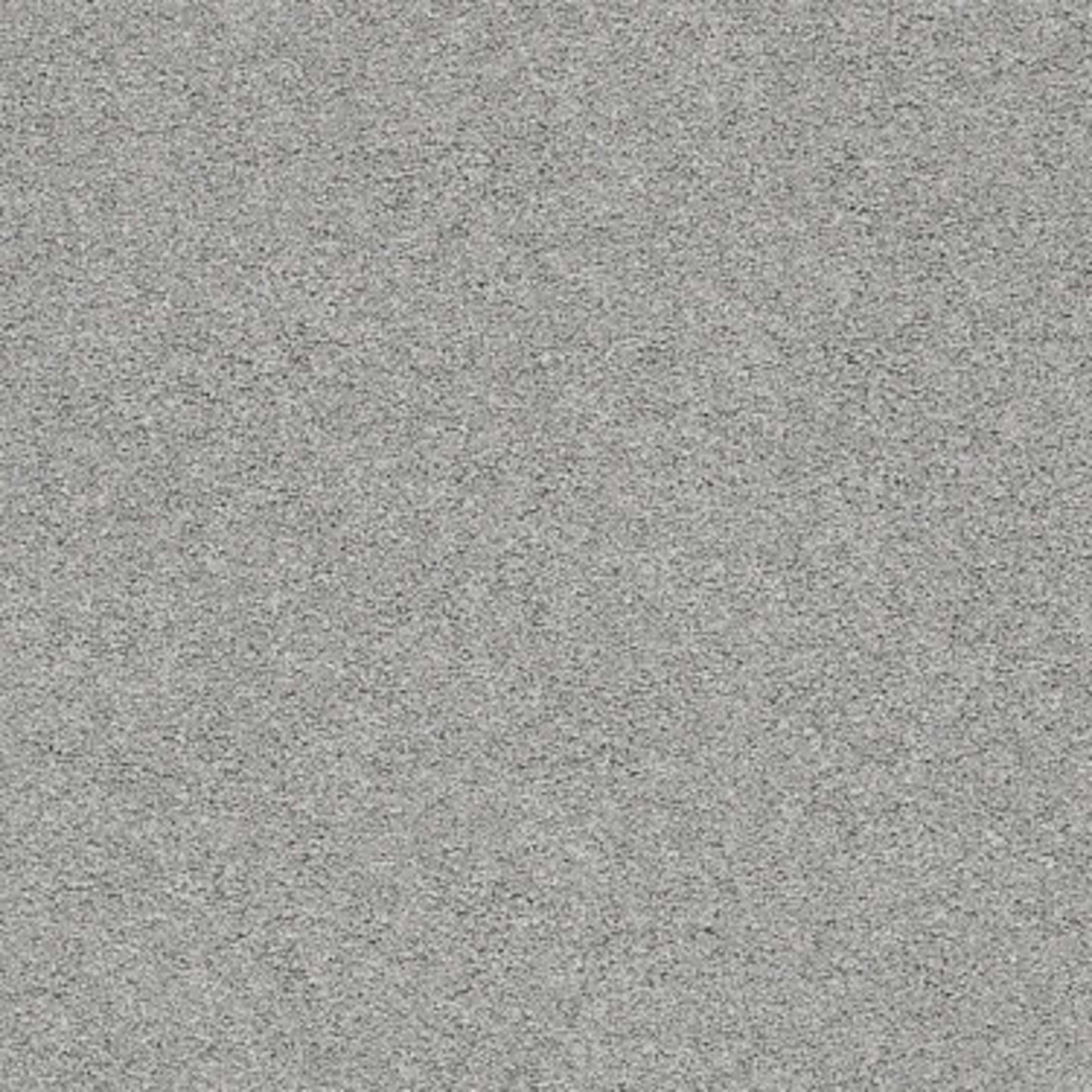 CASHMERE CLASSIC II in Birch Bark Carpet