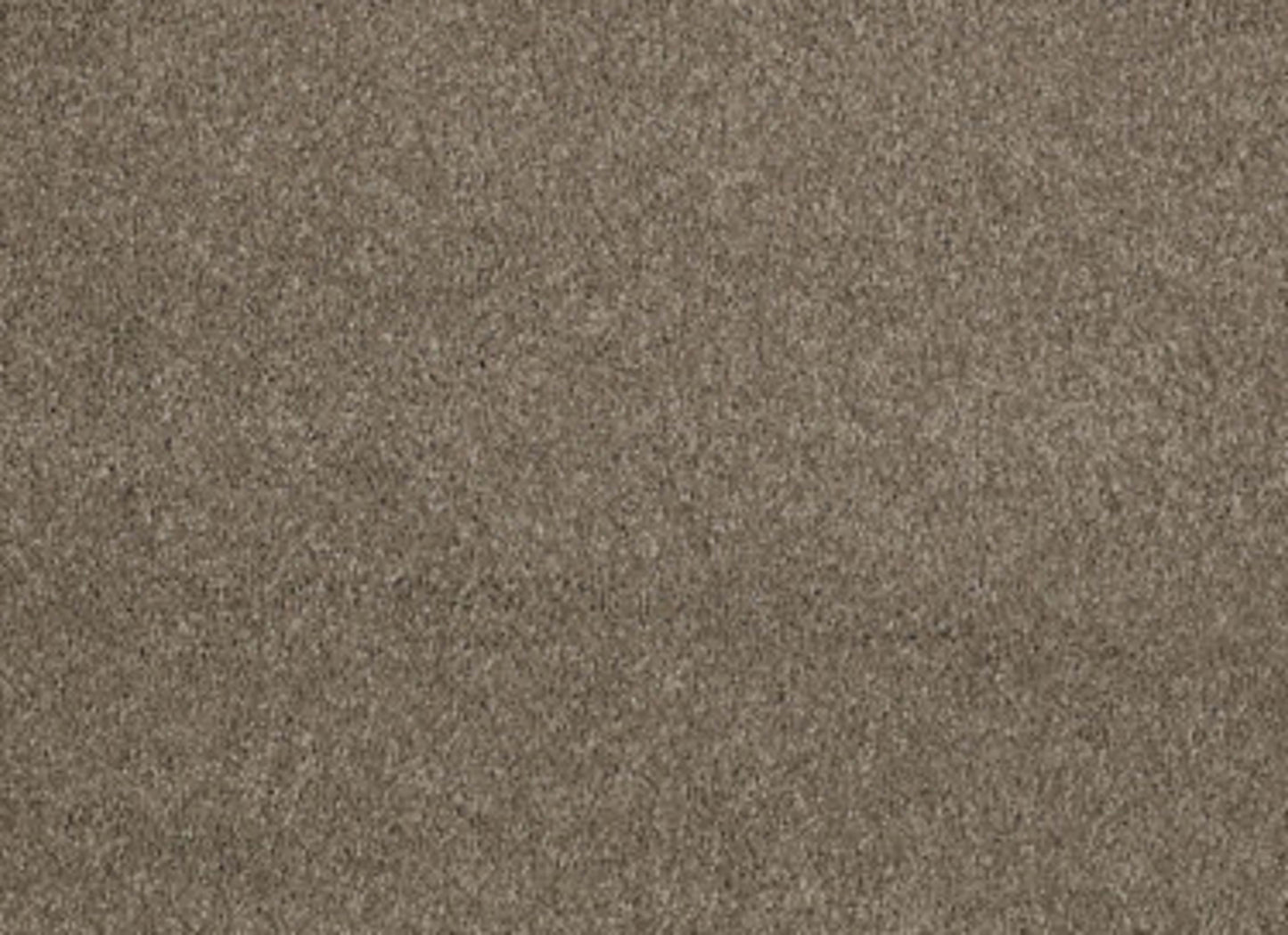 CASHMERE CLASSIC II