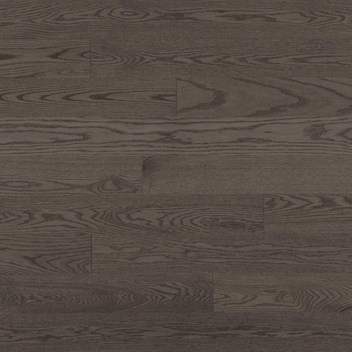 Admiration Engineered - Red Oak in Charcoal - 6 1/2" Smooth Hardwood