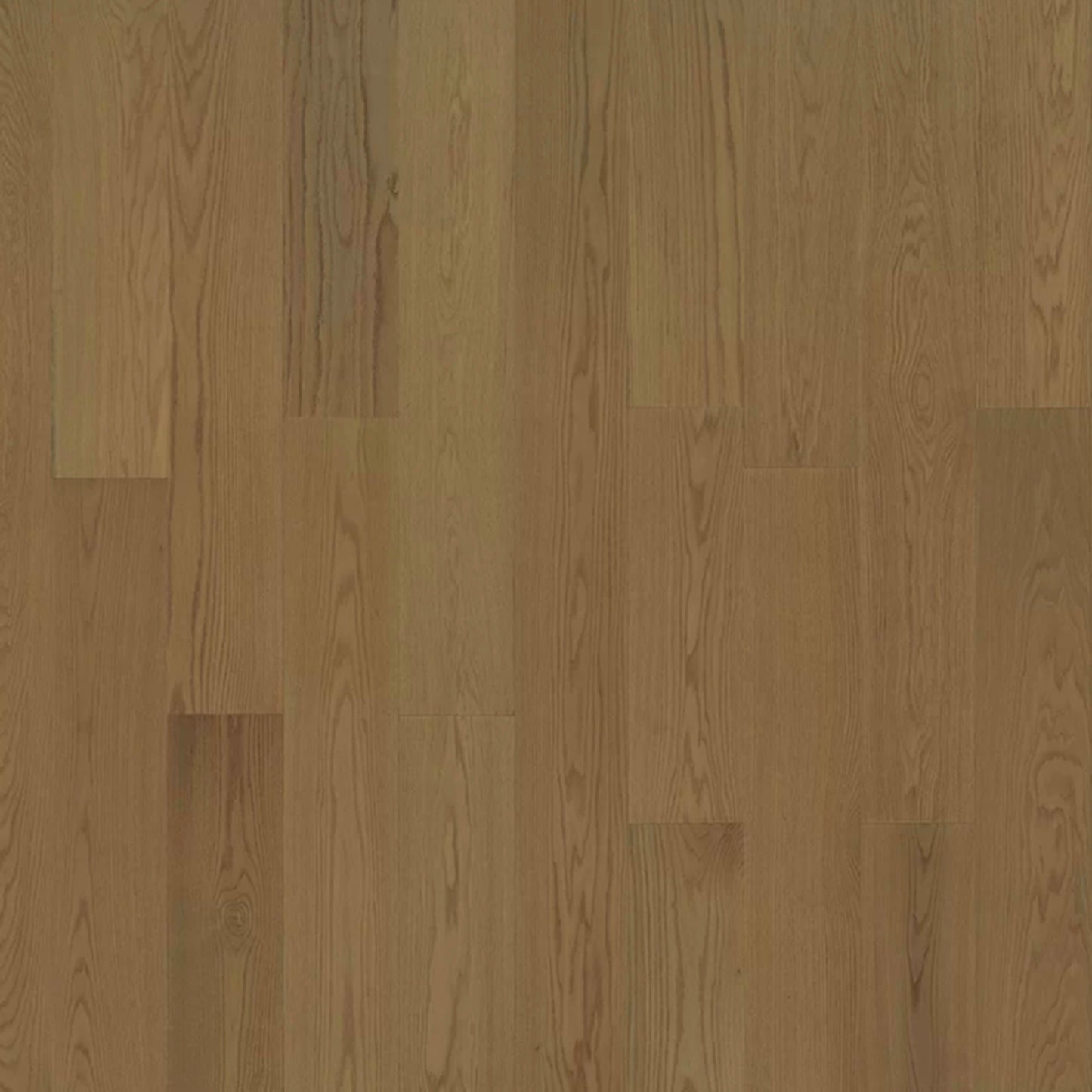 Serenity in Clear Oak Hardwood