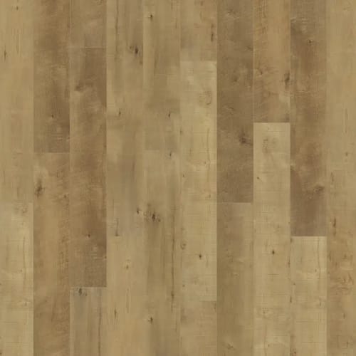 Courtier in Clyde Maple