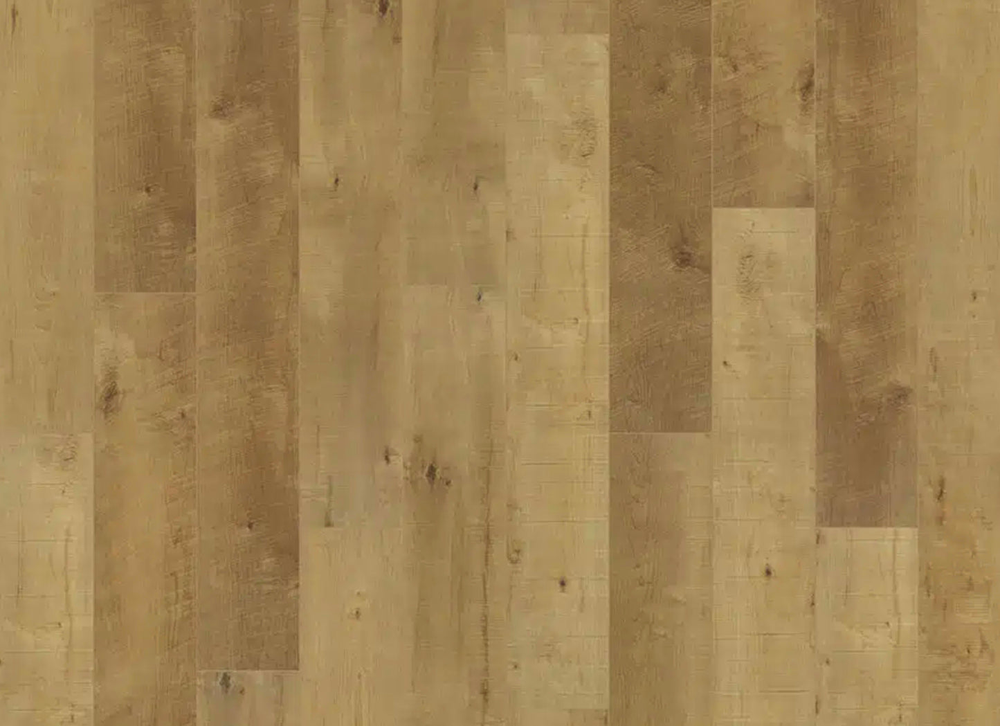 Courtier in Clyde Maple
