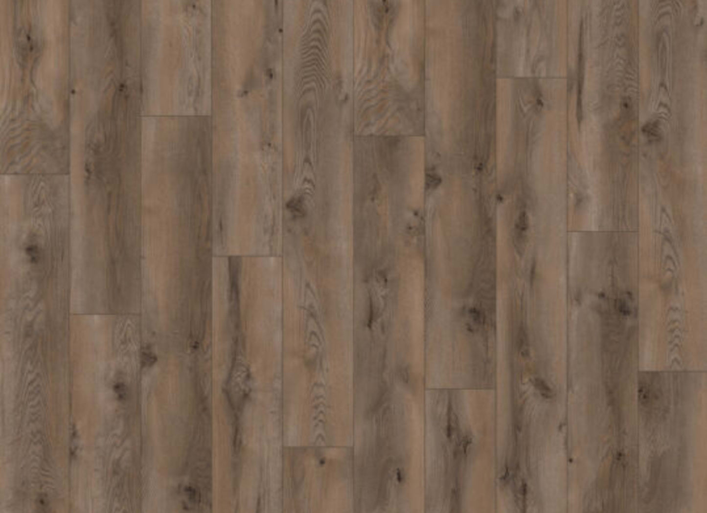 Ceramin - Sono Eclipse in Coffee