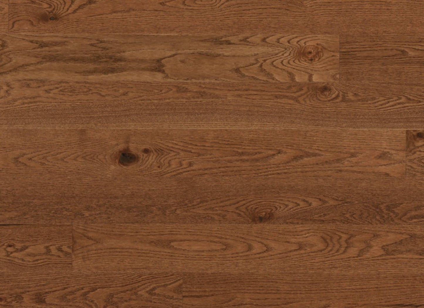 Escape Engineered - Red Oak in Cold Springs - 4"