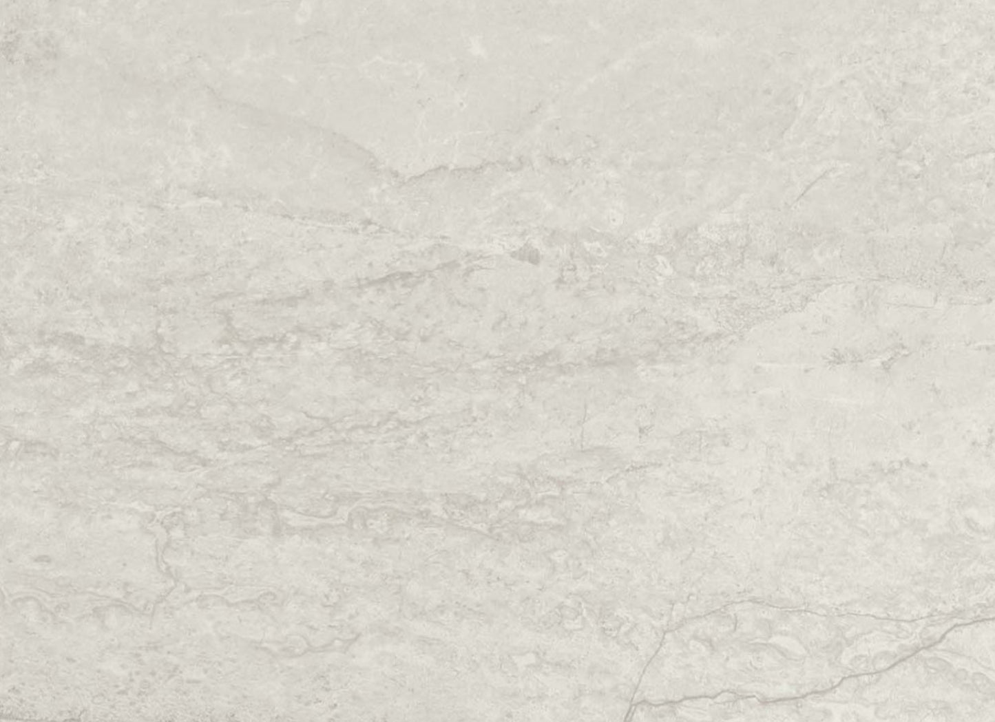 Chadwick in White 12"x24"
