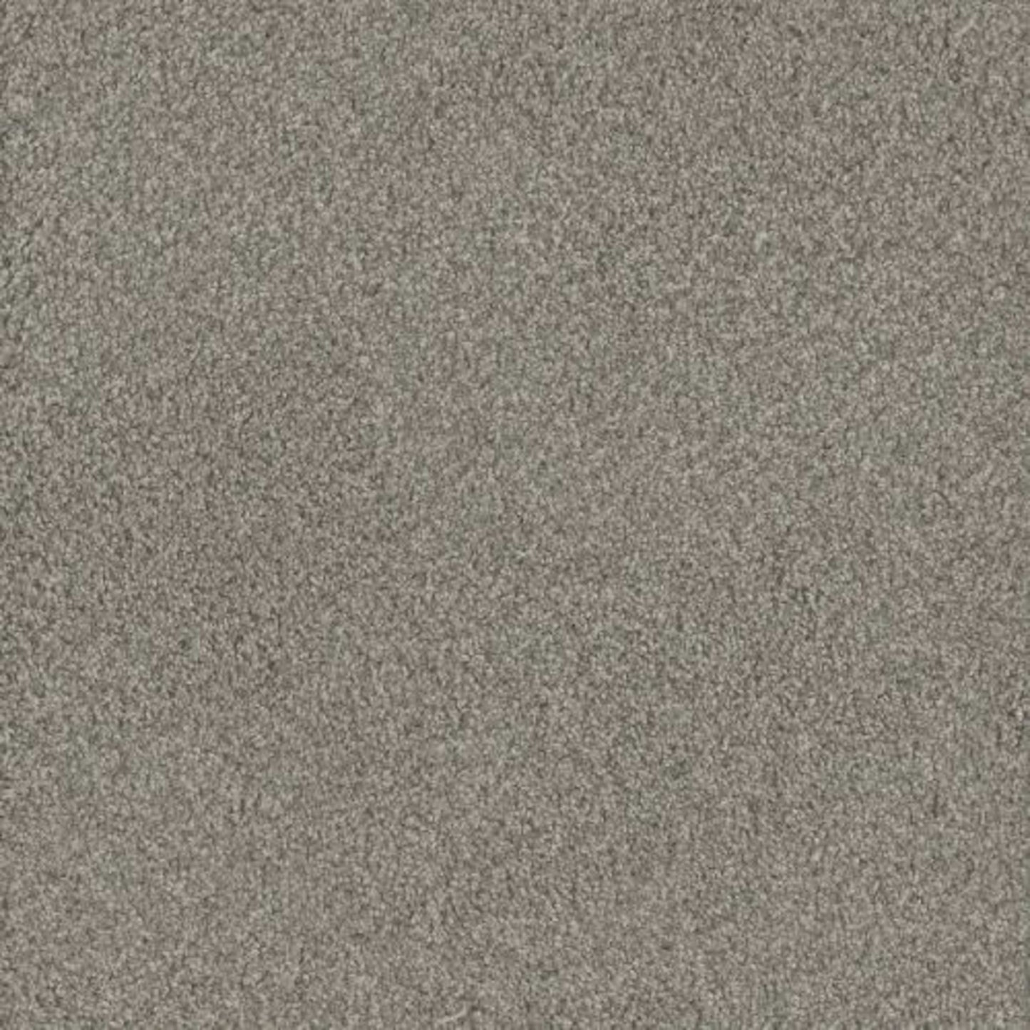 NO LIMITS II in Dewberry Carpet
