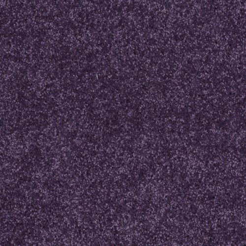 All Star Weekend I 15' in Grape Slushy