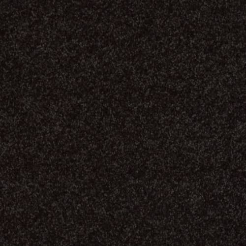 All Star Weekend III 15' in Armour