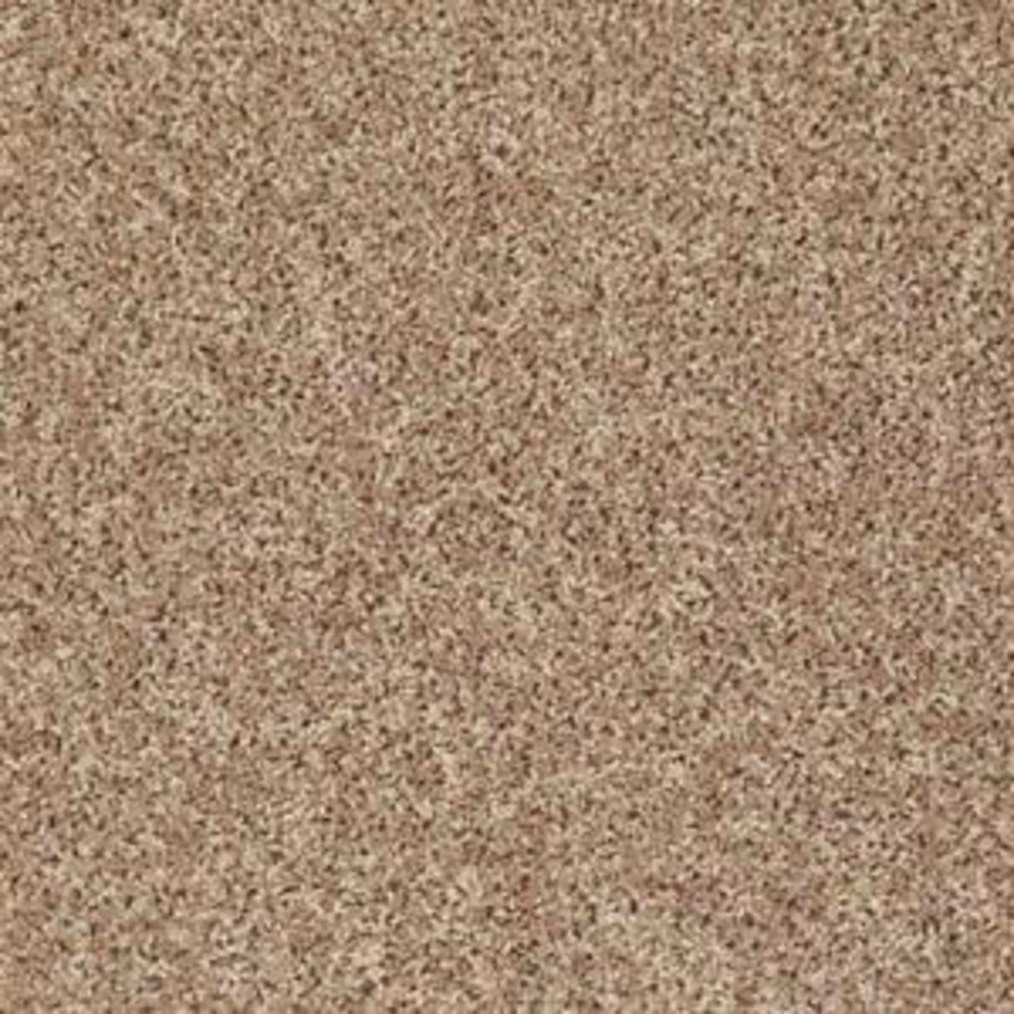 Let's Go (S) in Northern Plains Carpet