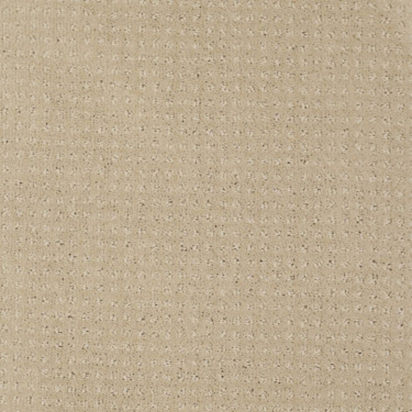 Enduring Comfort Pattern in Mesa Carpet