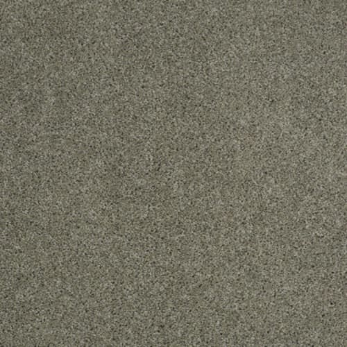 Origins in Silver Sage