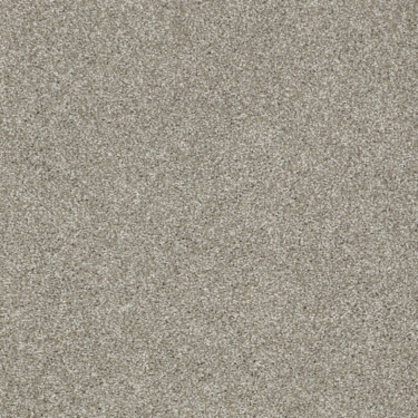 Picturesque in Gray Flannel Carpet