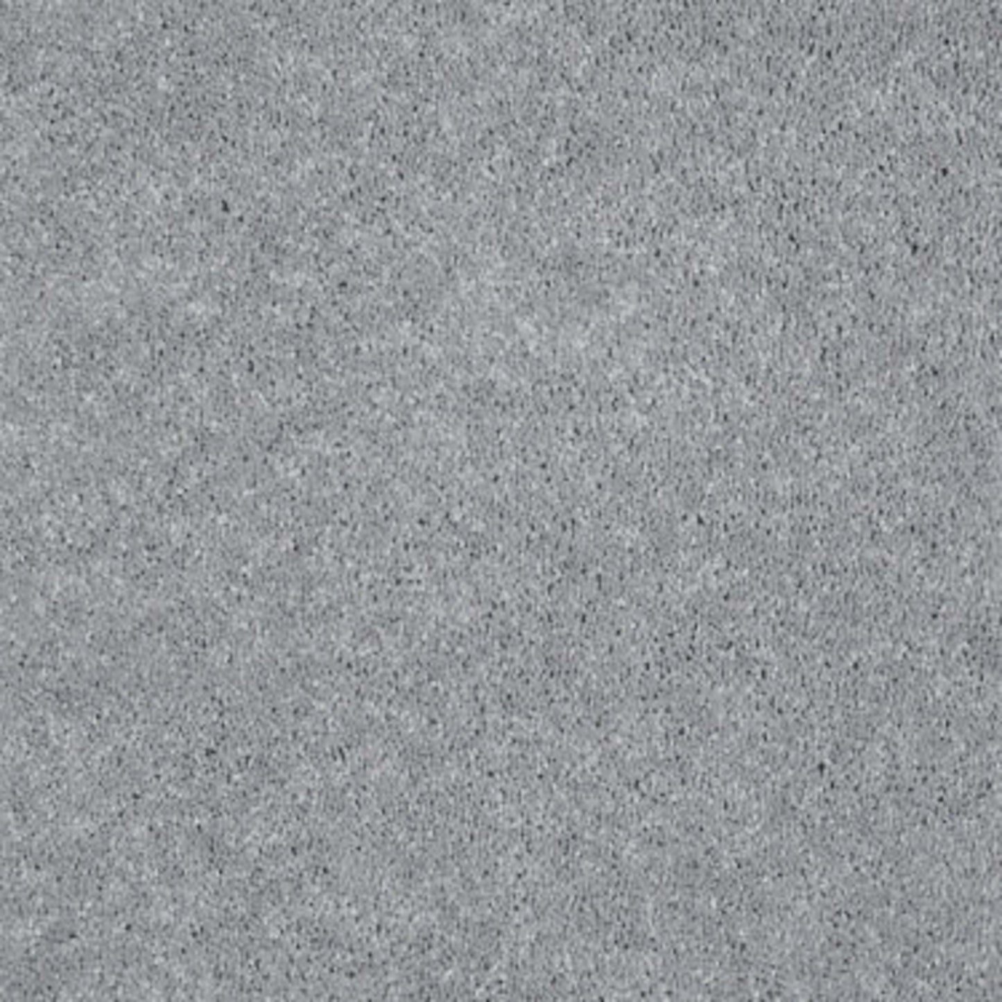 Well Played I 12' in Nickel Carpet