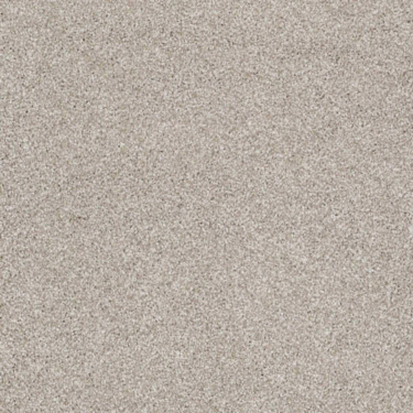 What's Up in Cork Board Carpet