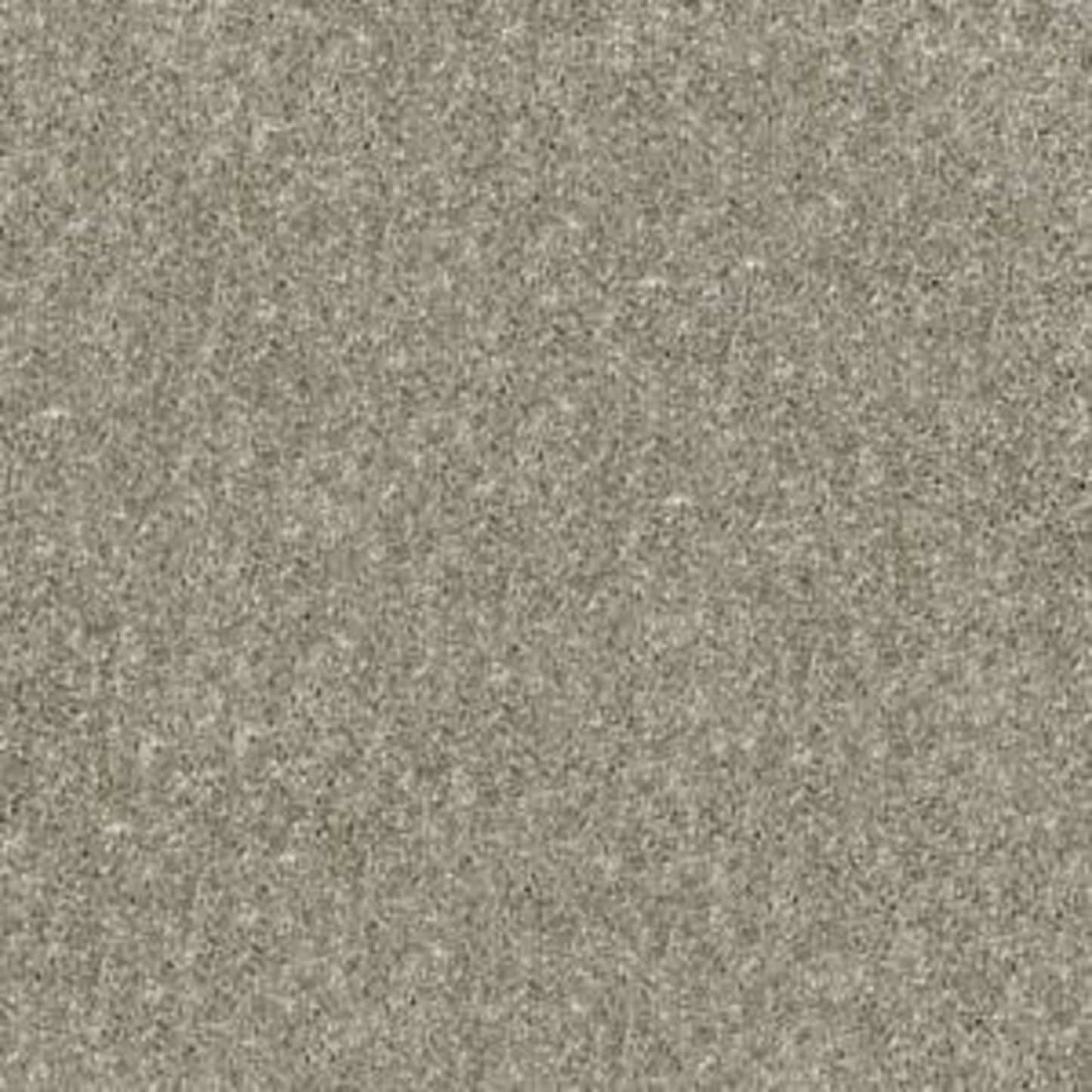NEWBERN CLASSIC 15' in Suede Carpet