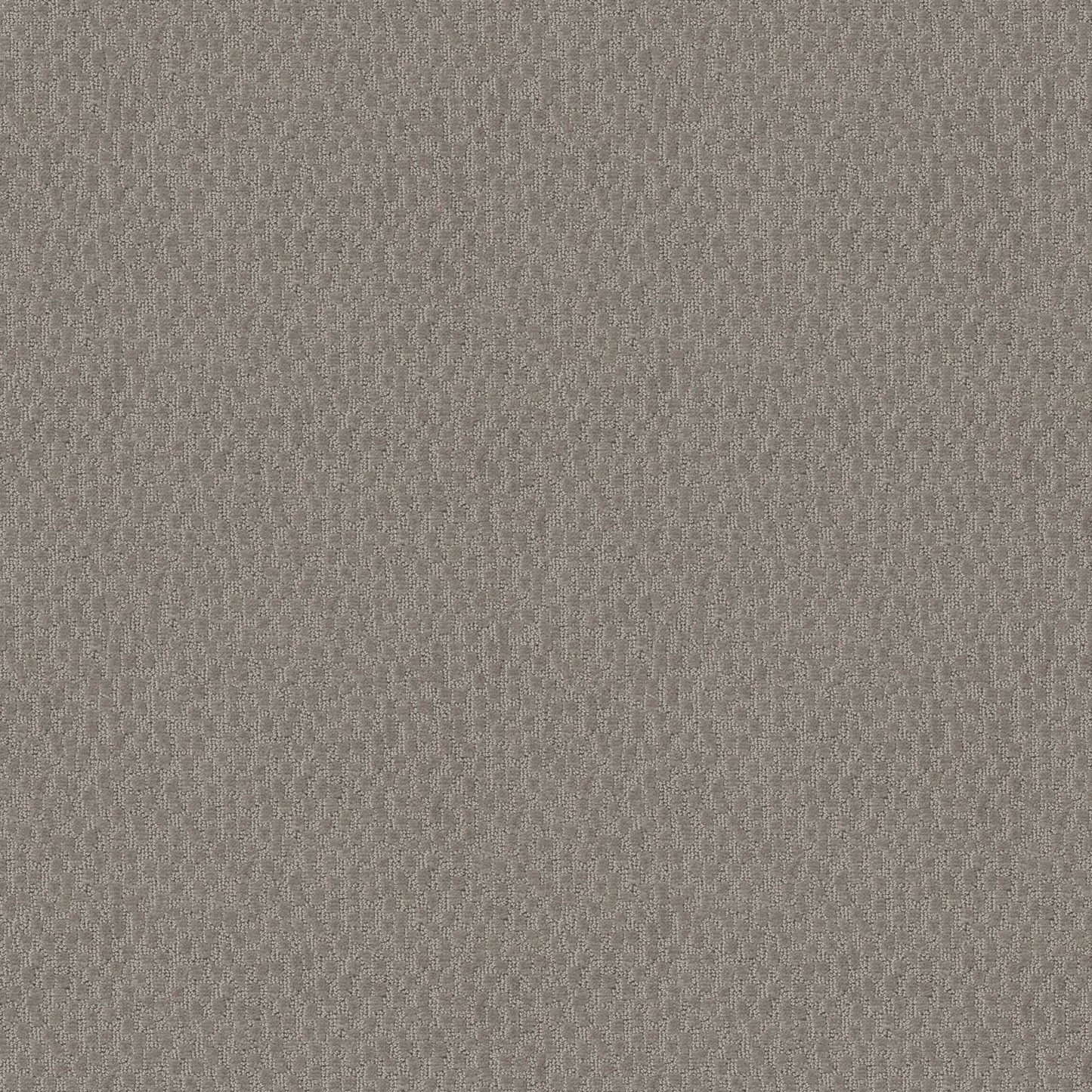 LATTICE in Mineral Carpet