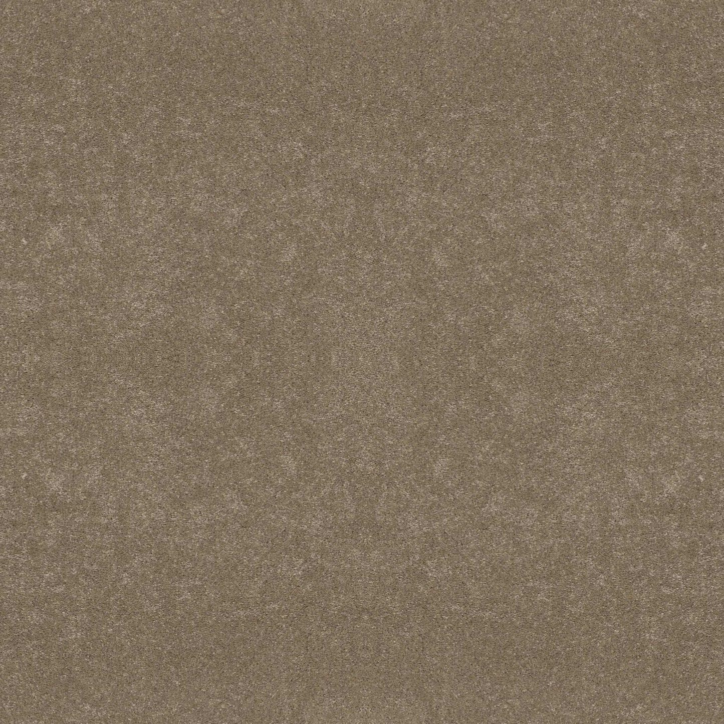 BASIC RULES in Gold Rush Carpet