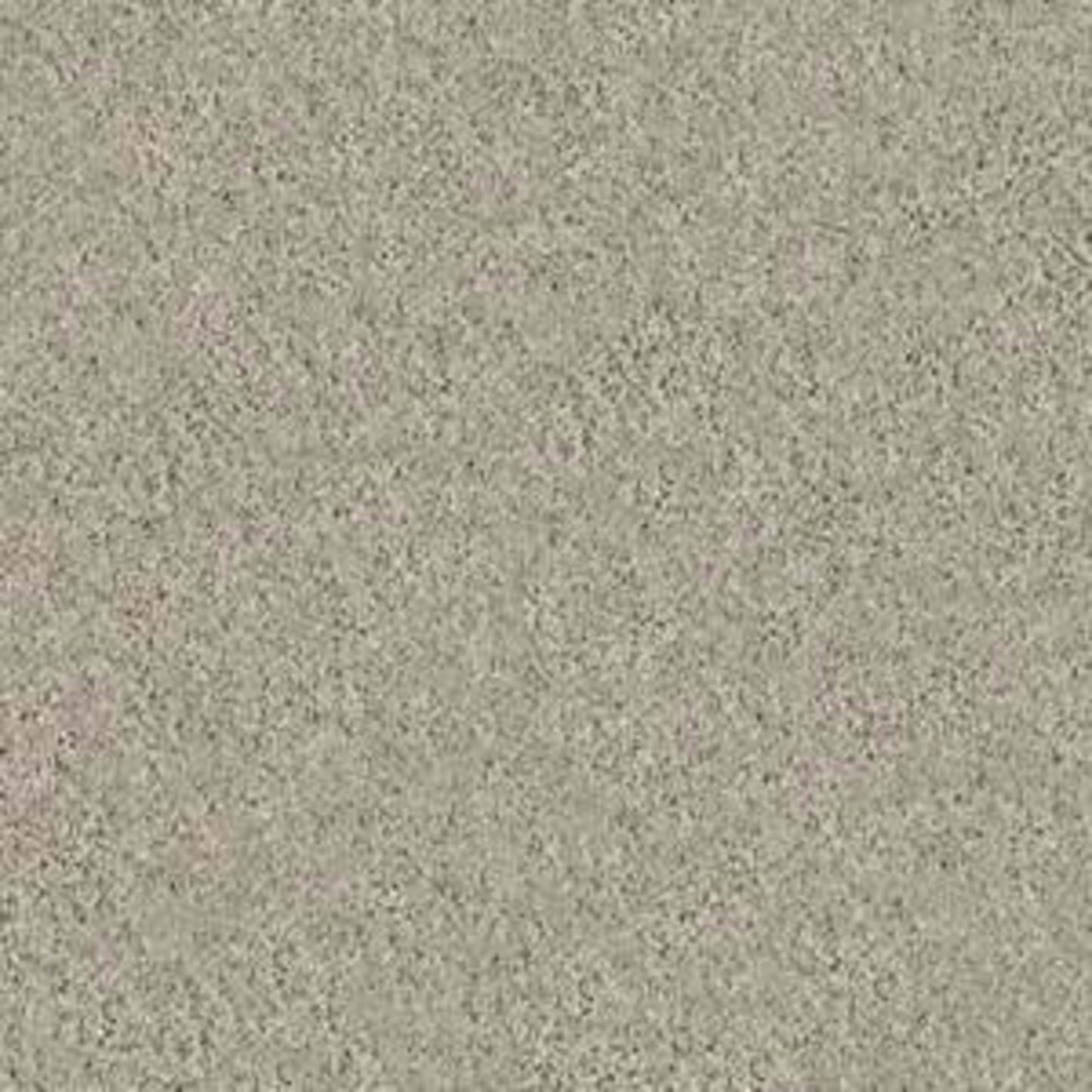 KEEN SENSES I in Barista Carpet