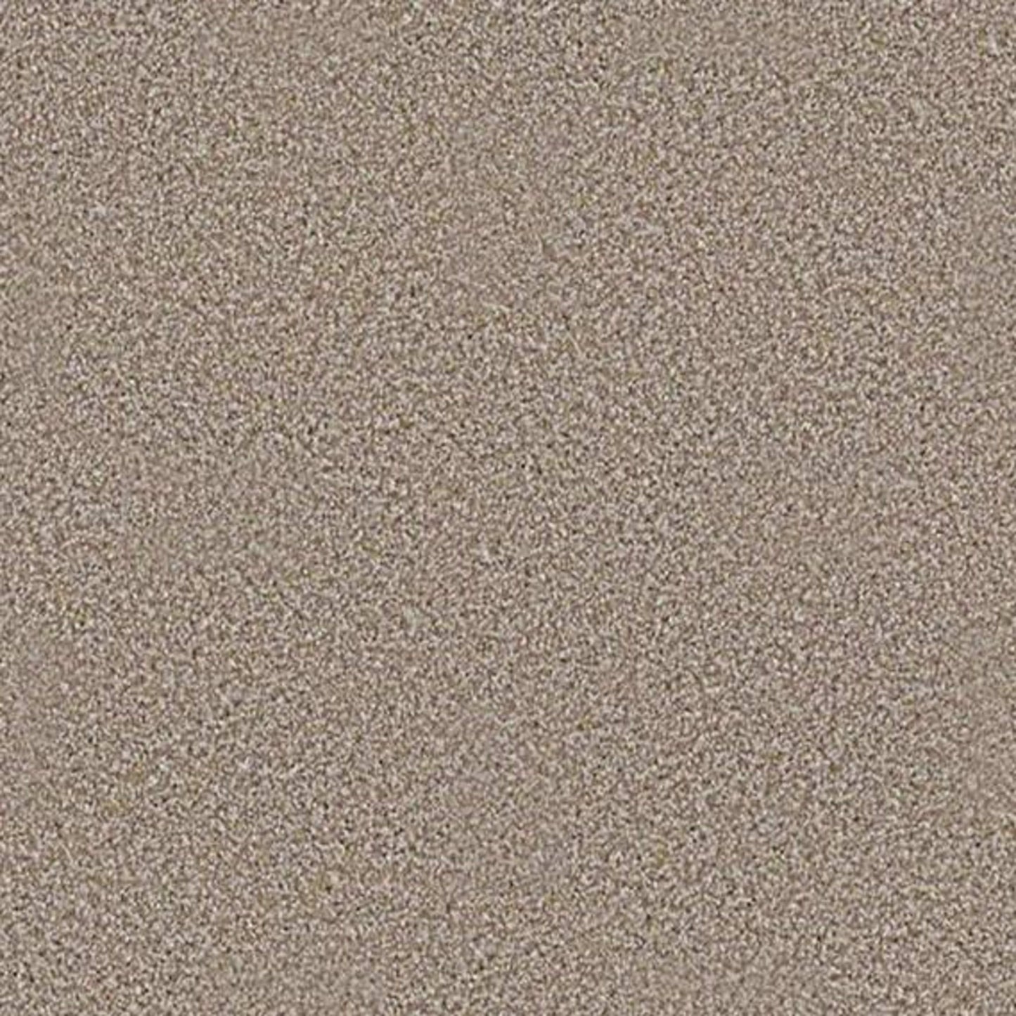 ALWAYS READY I in Summerville Carpet