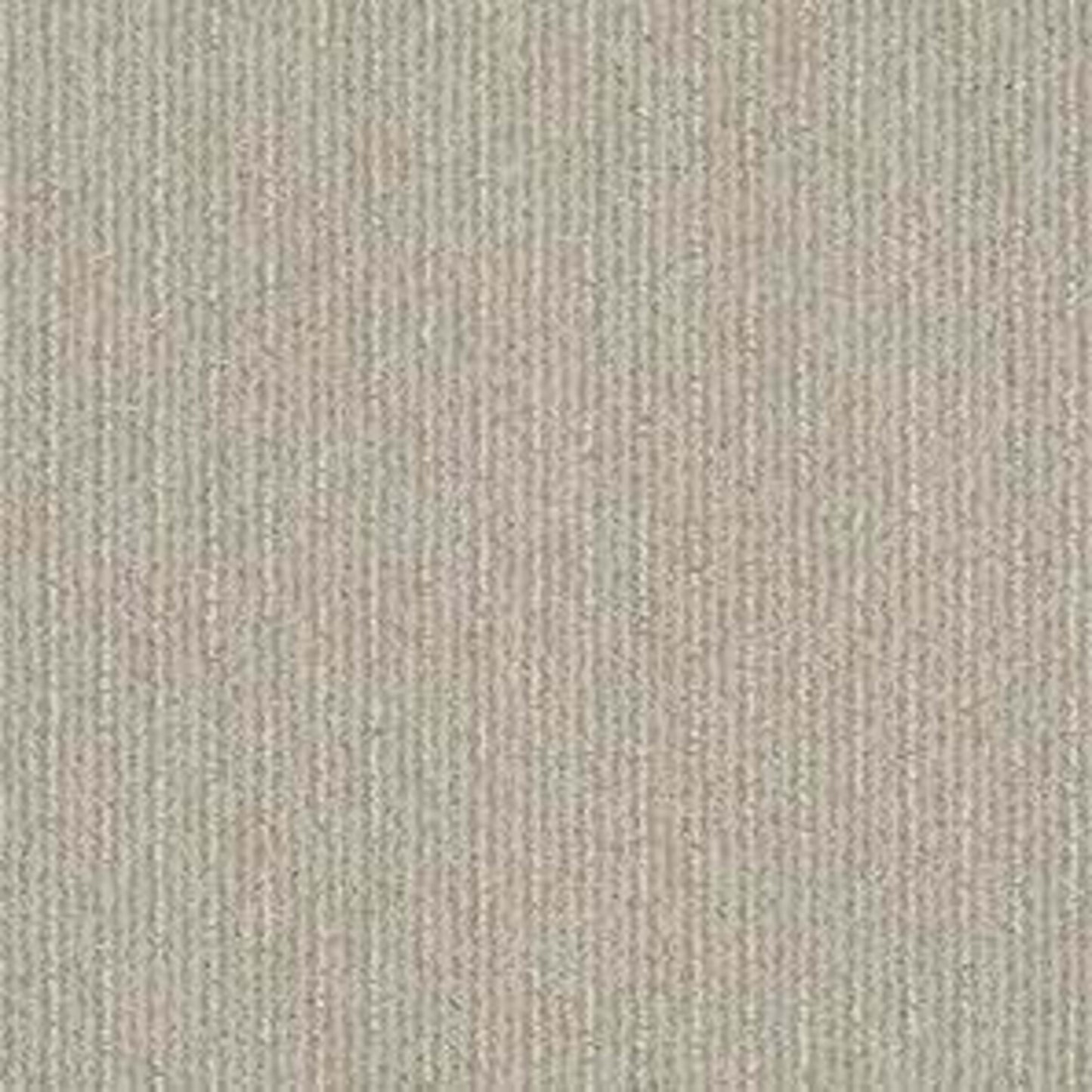 INSIGHTFUL WAY in Studio Taupe Carpet